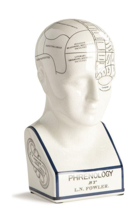 Autentické modely frenologická hlava, malá