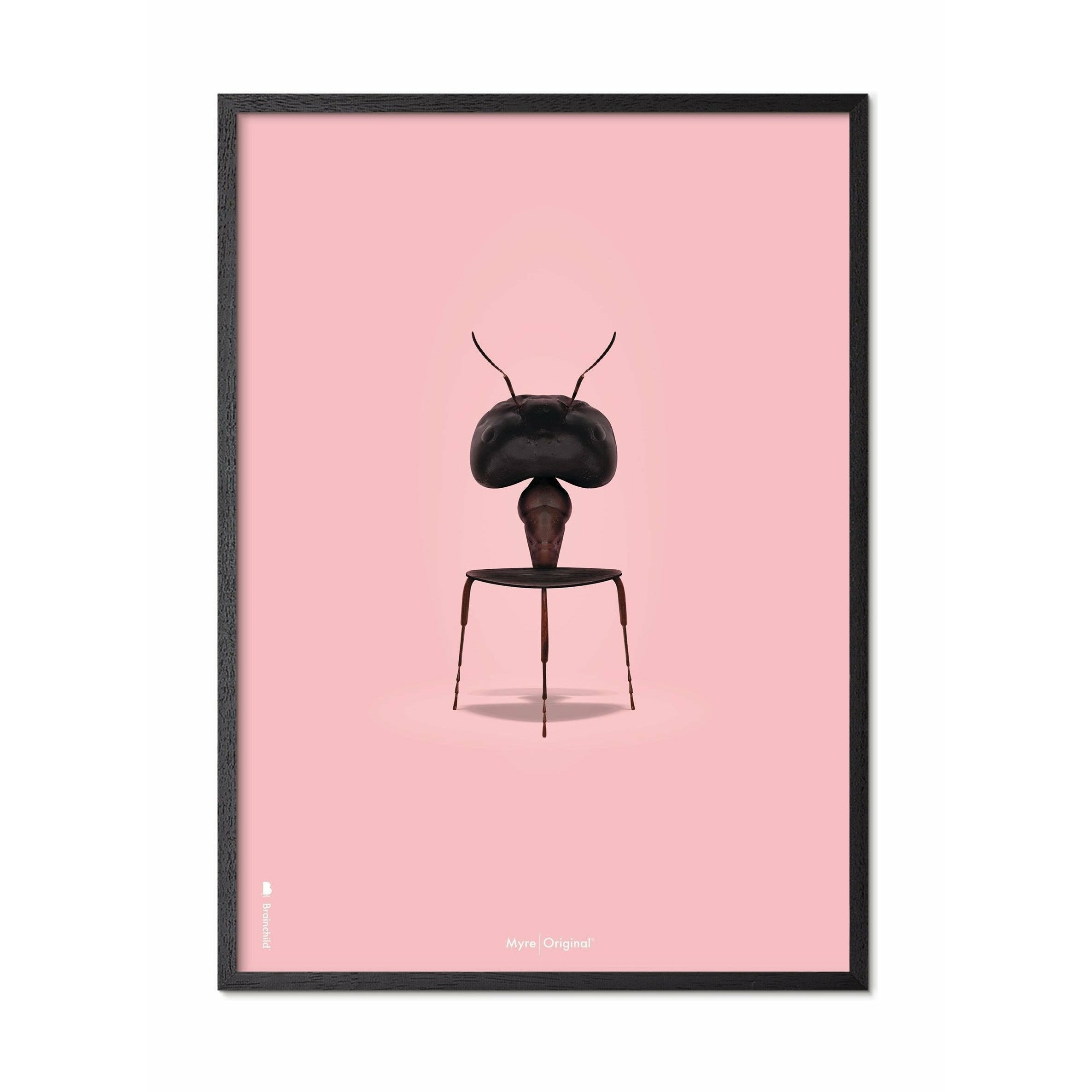 Brainchild Ant Classic plakát, rám v černém lakovaném dřevu 50x70 cm, růžové pozadí