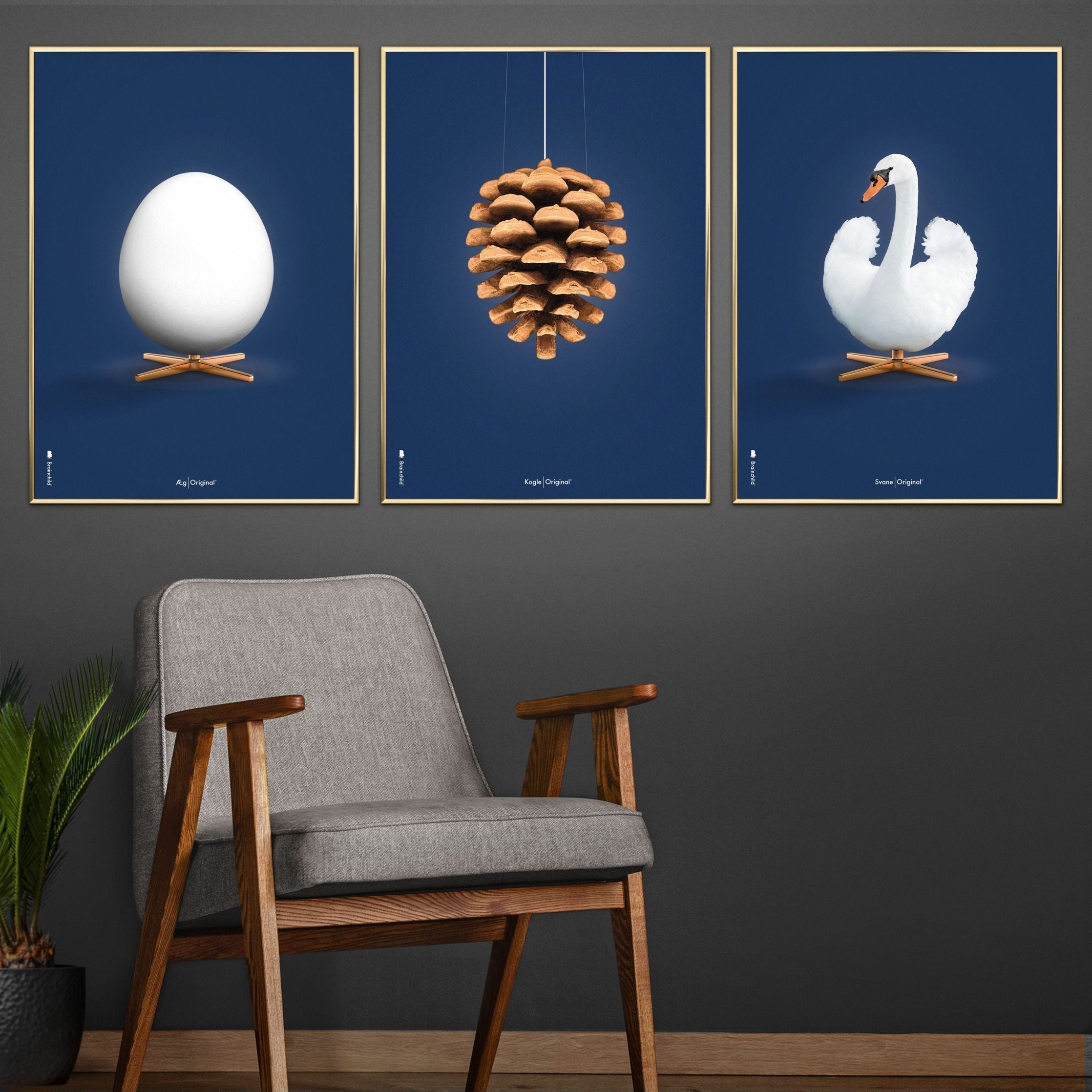 Klasický plakát vejce mozků, tmavý dřevěný rám A5, tmavě modré pozadí