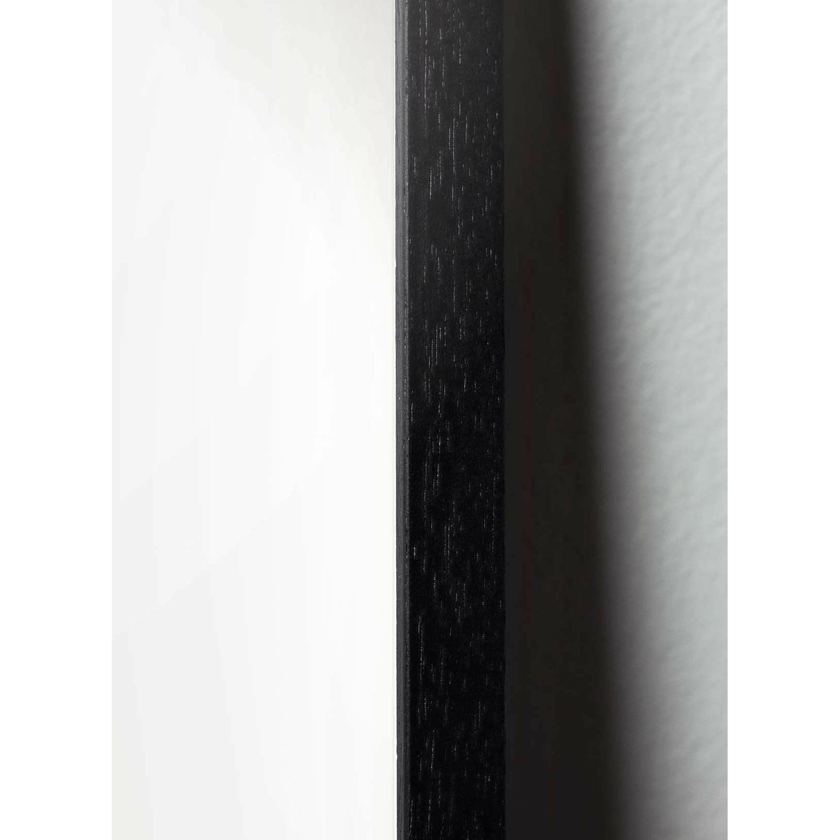 Brainchild Egg Line Poster, Frame In Black Lacquered Wood 50x70 Cm, White Background