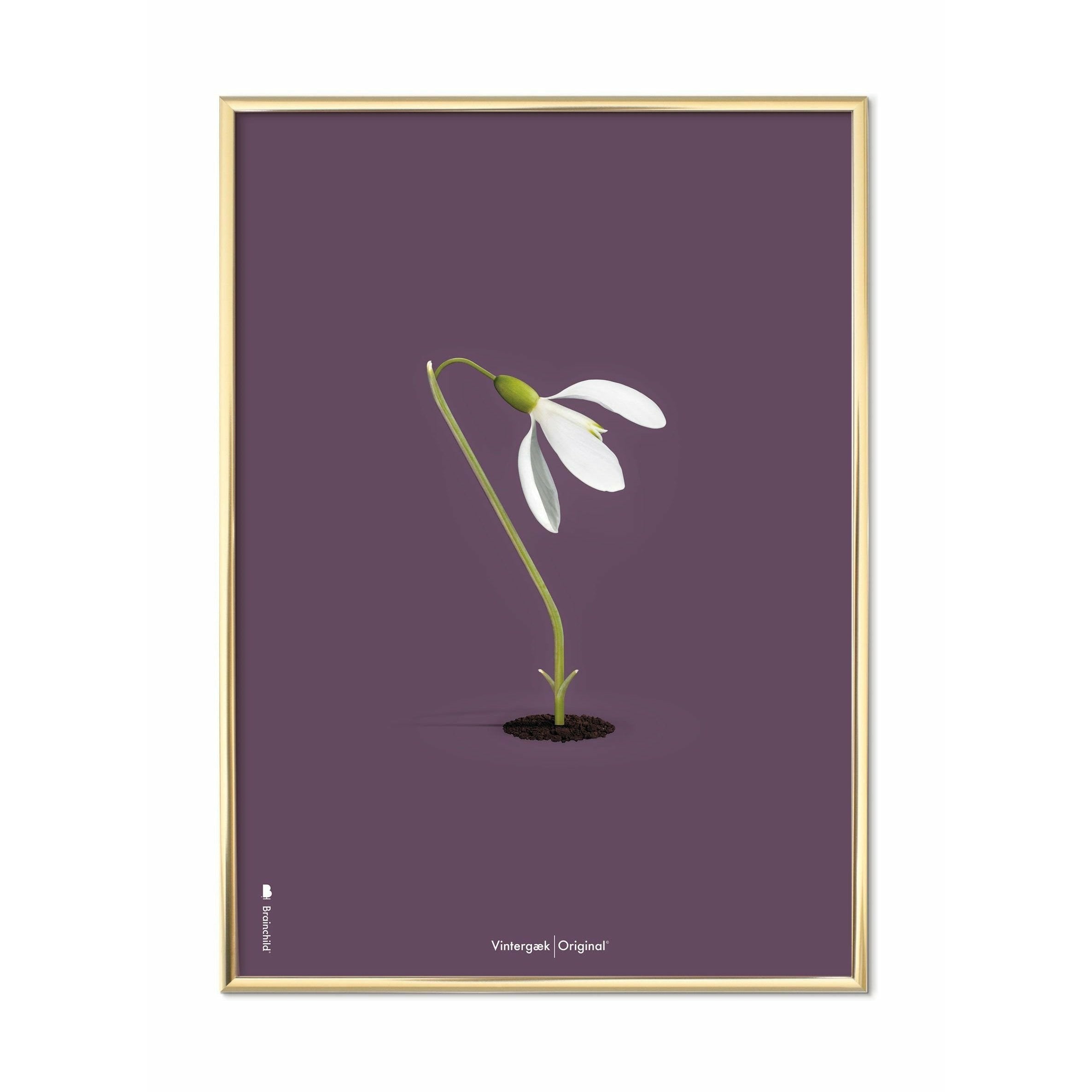 Brainchild Snowdrop Classic Poster, Brass Colored Frame 50x70 Cm, Purple Background