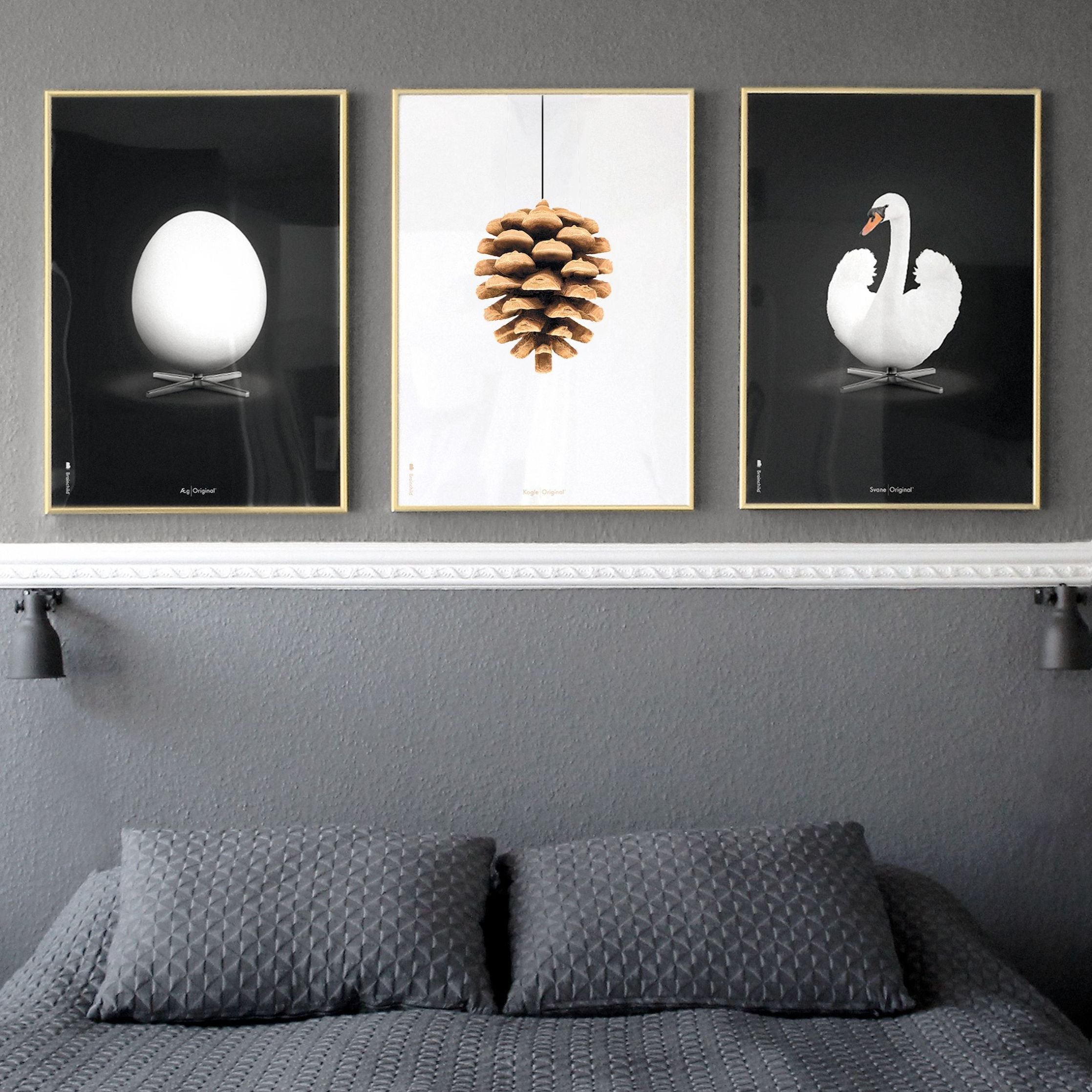 Klasický plakát s labutí mozek, rám vyrobený z tmavého dřeva 30x40 cm, bílé/bílé pozadí