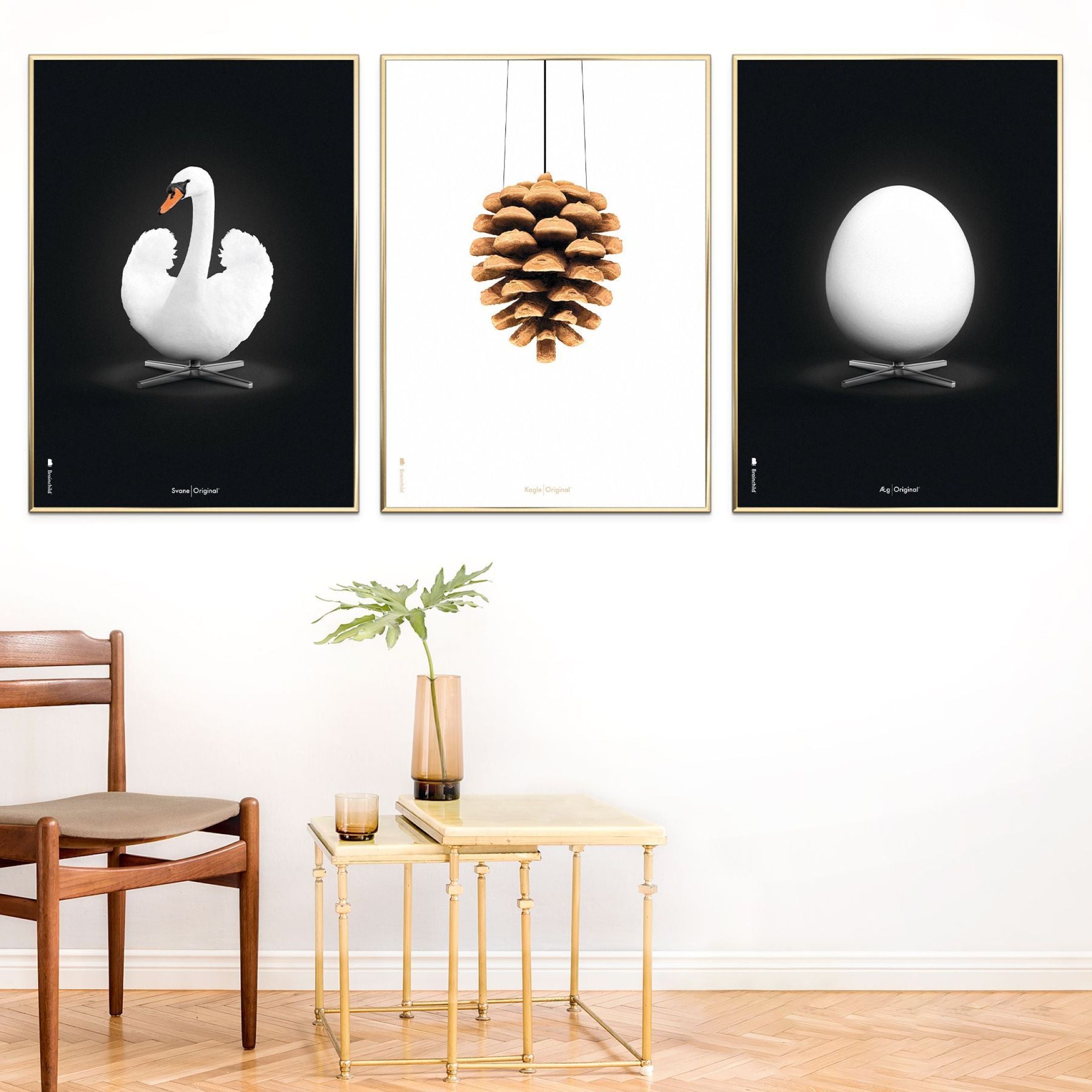 Klasický plakát s labutí mozek, rám vyrobený z tmavého dřeva 30x40 cm, bílé/bílé pozadí