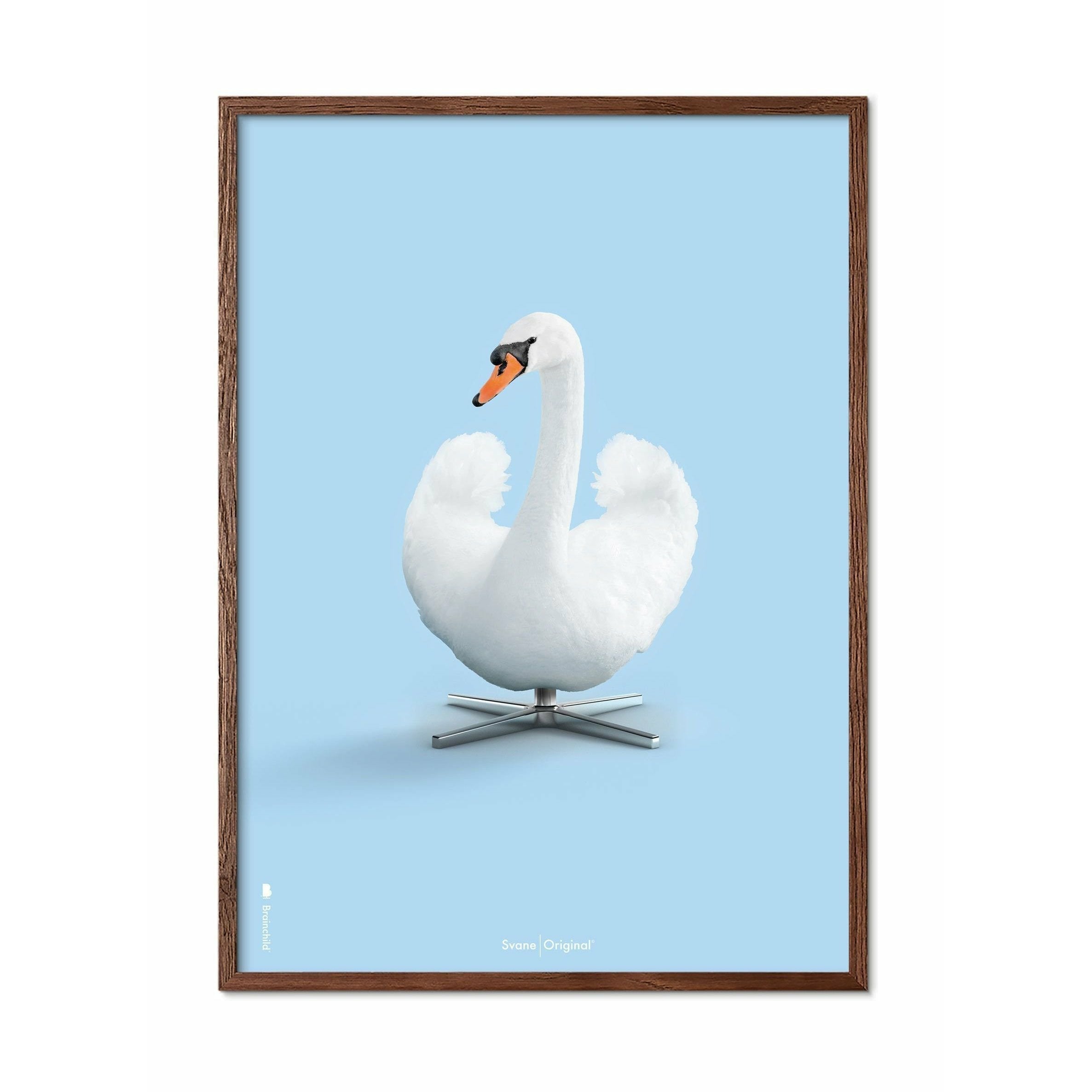Klasický plakát s labutí mozek, rám vyrobený z tmavého dřeva 50x70 cm, světle modré pozadí