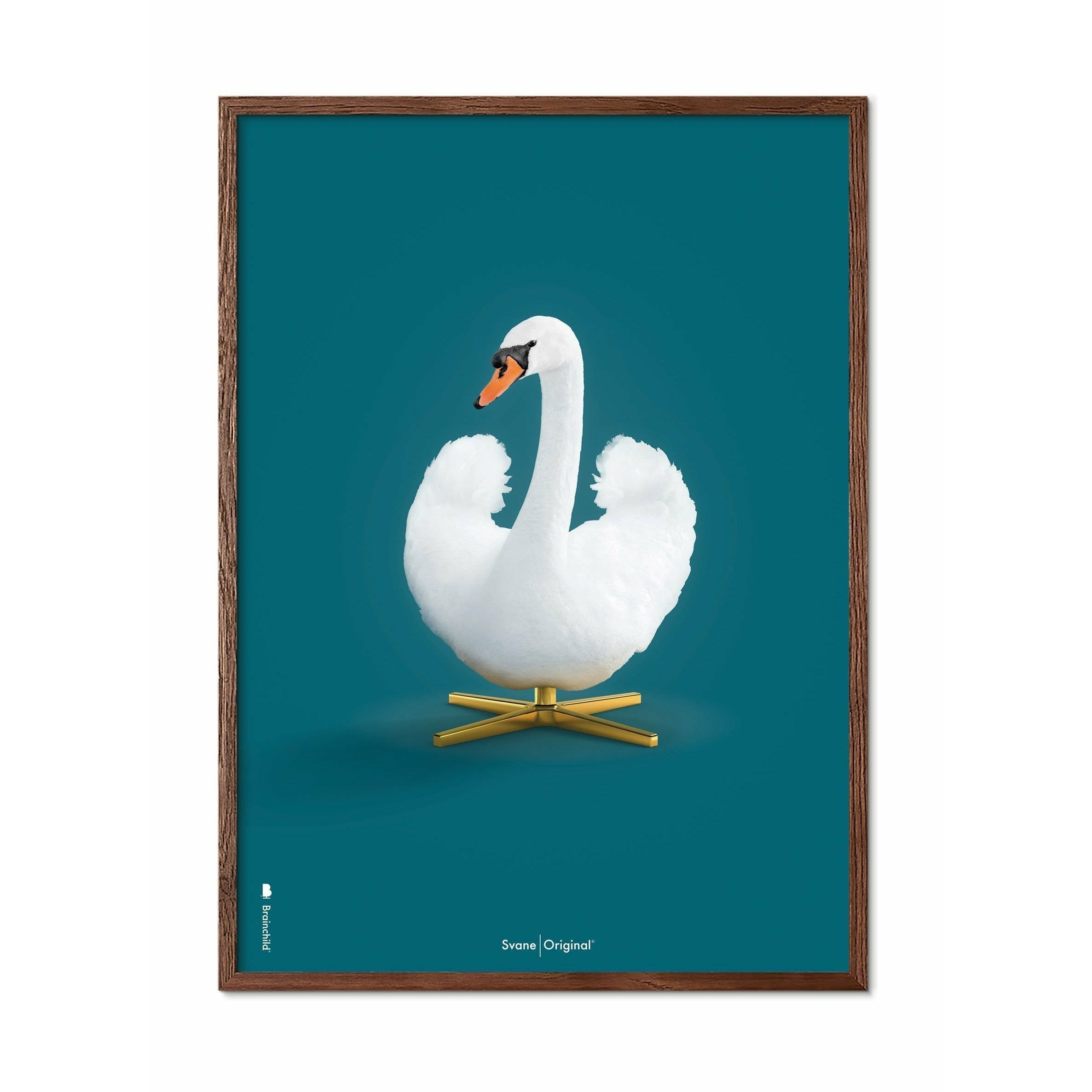 Brainchild Swan Classic Poster, Dark Wood Frame 70x100 Cm, Petroleum Blue Background