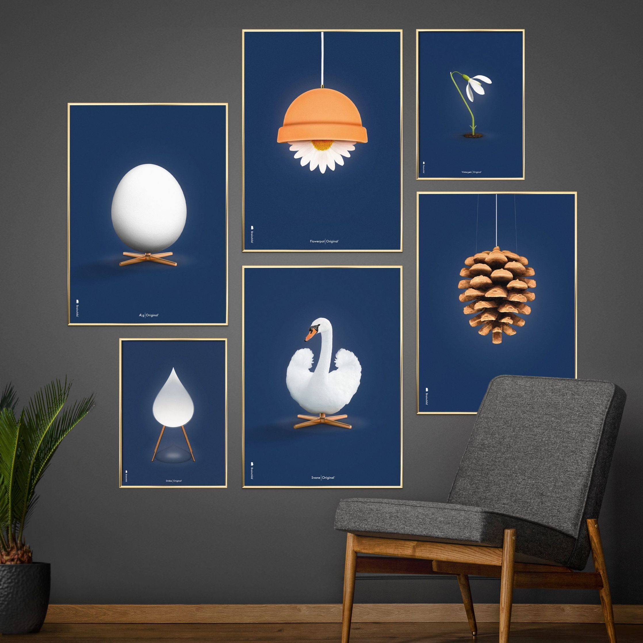 Klasický plakát s labutí mozek, tmavý dřevěný rám A5, tmavě modré pozadí