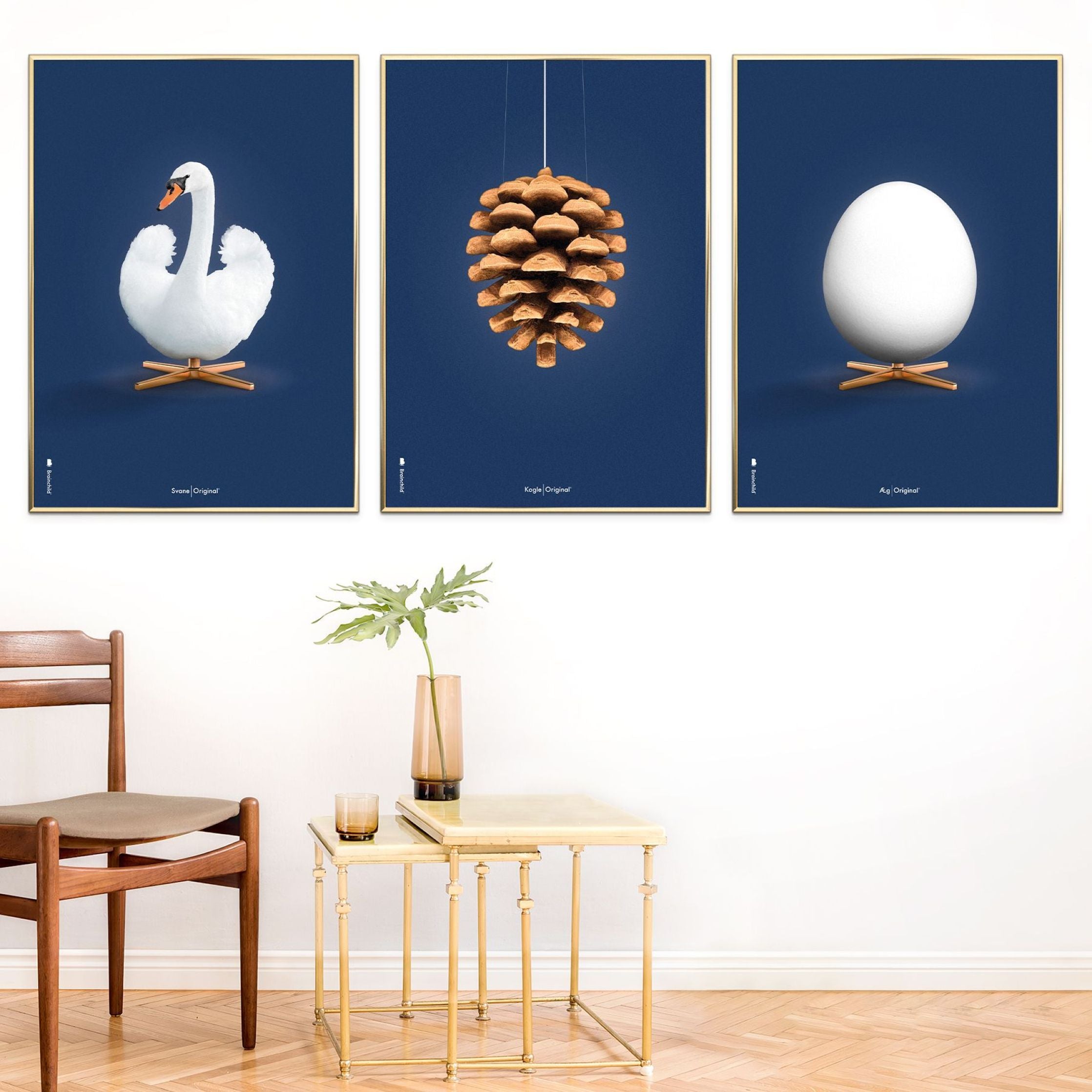 Klasický plakát s labutí mozek, tmavý dřevěný rám A5, tmavě modré pozadí