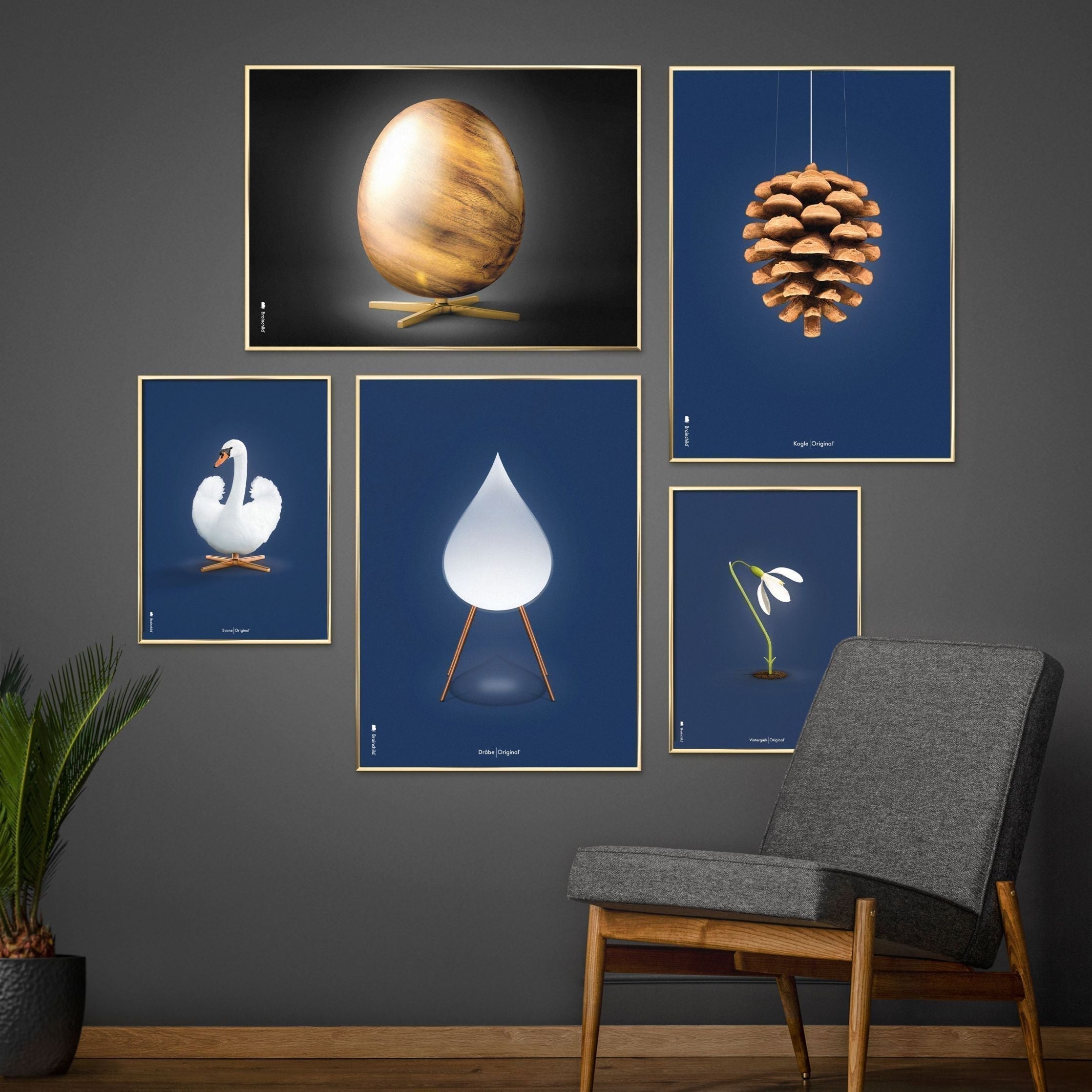 Klasický plakát s labutí mozkem, lehký dřevěný rám A5, tmavě modré pozadí