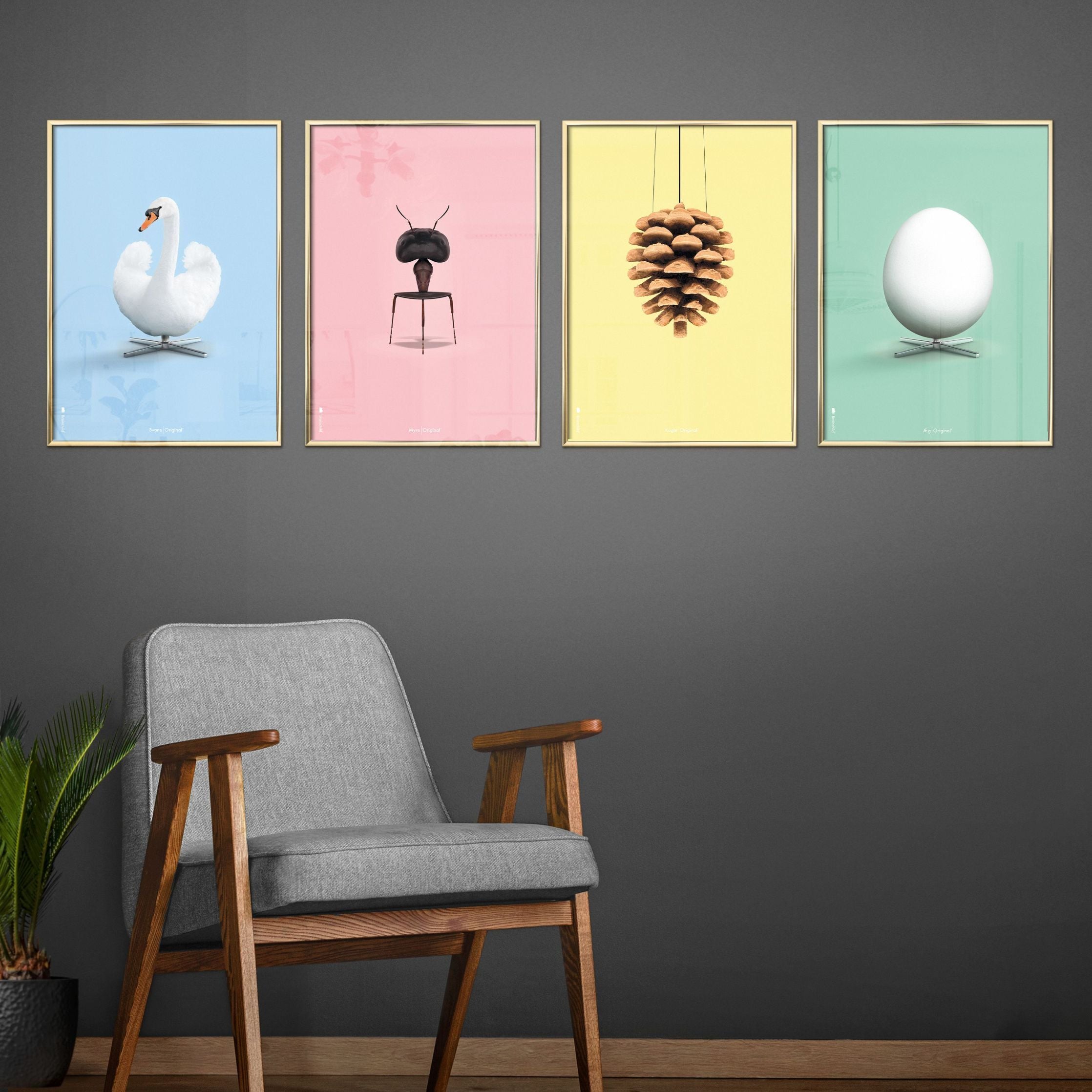 Klasický plakát s labutí mozek, lehký dřevěný rám A5, světle modré pozadí
