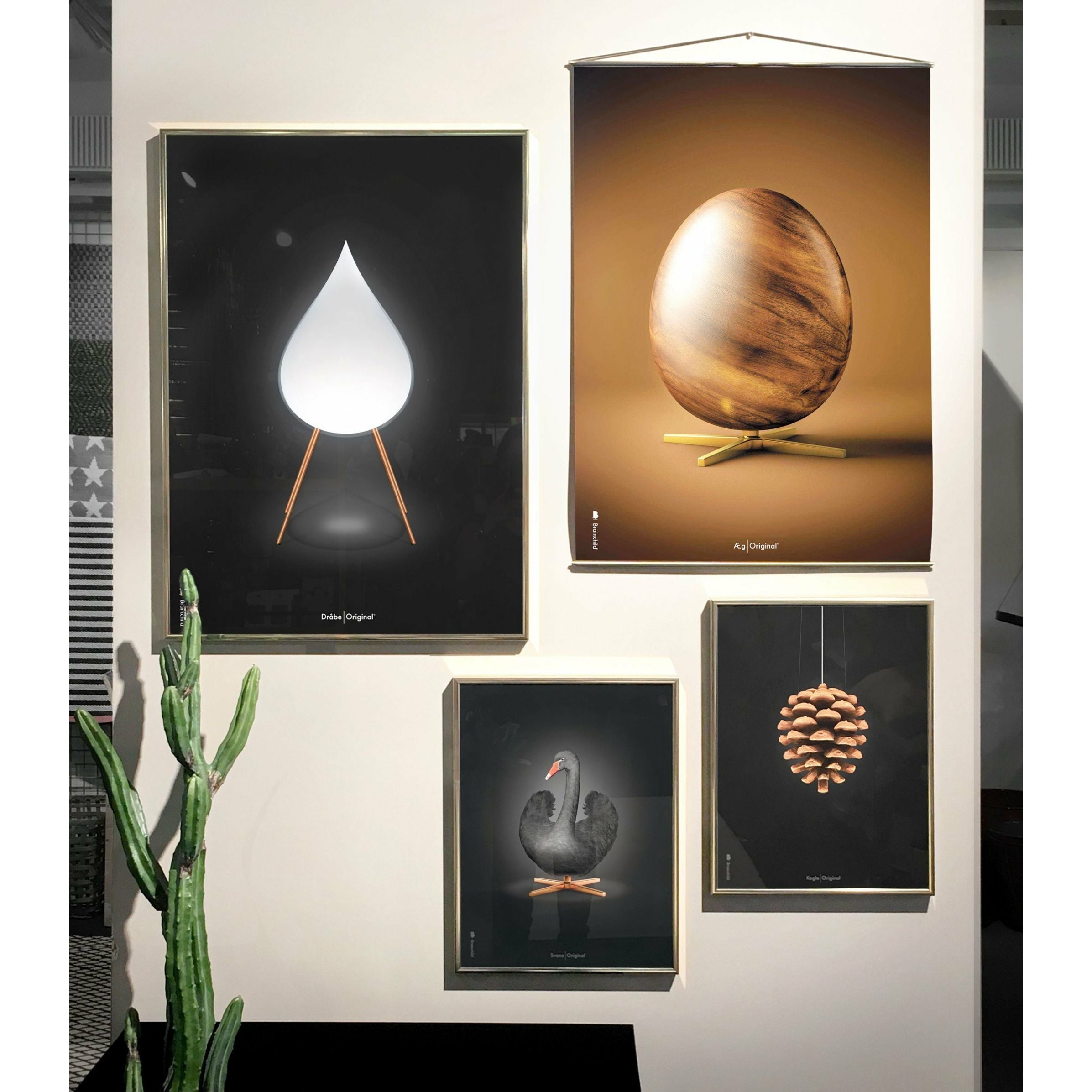 Brainchild Pine Cone Classic Poster, Frame Made Of Dark Wood 50x70 Cm, Black Background