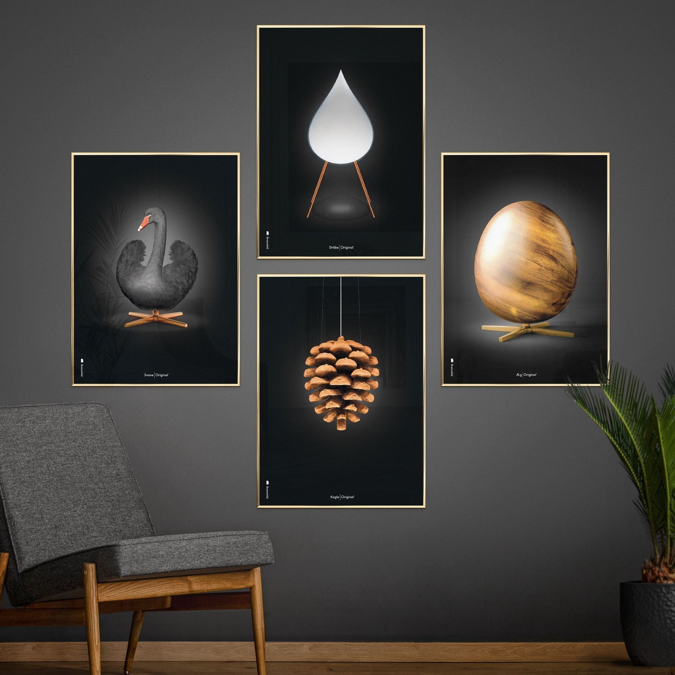 Klasický plakát mozkového kuželu, rám vyrobený z tmavého dřeva 50x70 cm, černé pozadí