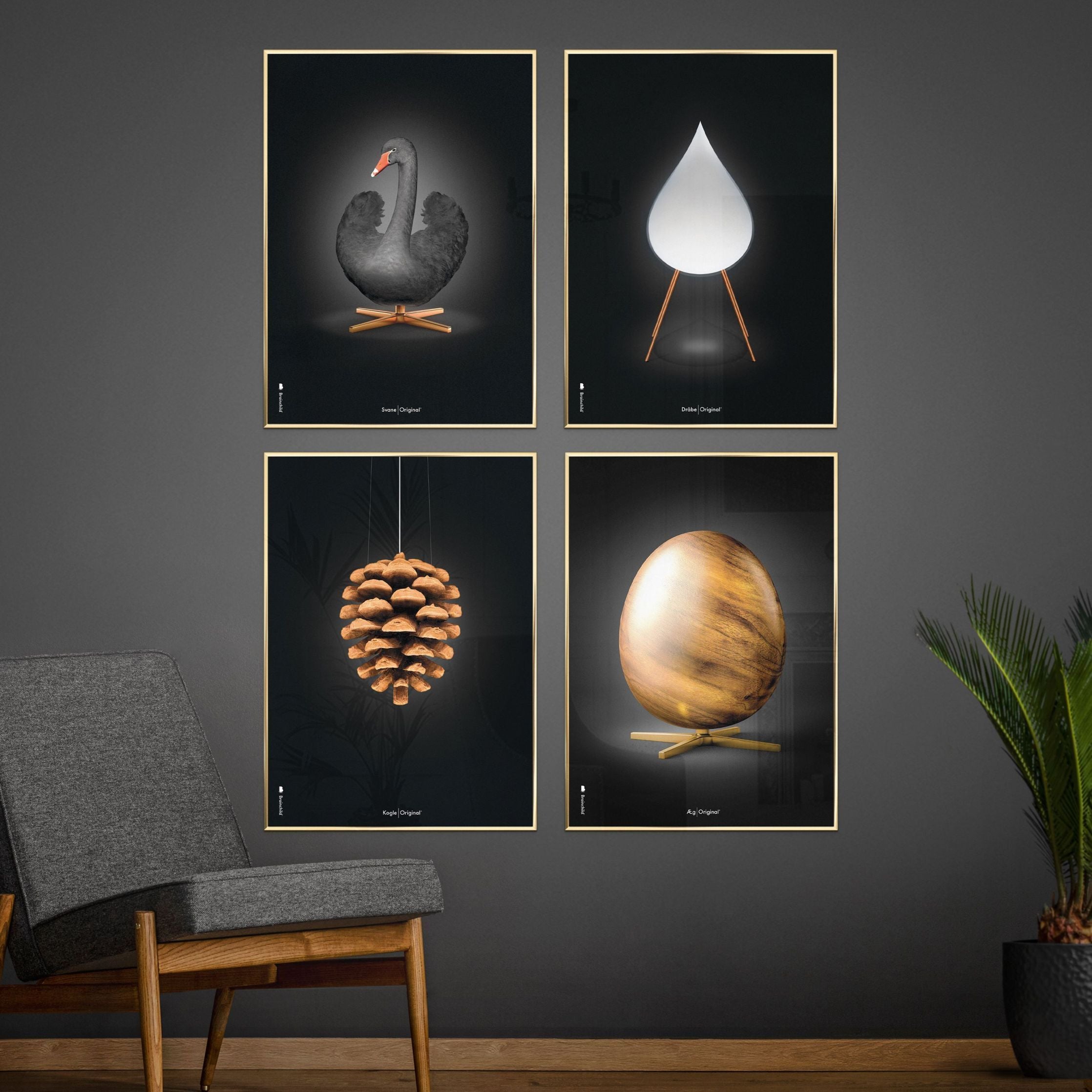 Klasický plakát mozkového kuželu, rám vyrobený z tmavého dřeva 50x70 cm, černé pozadí