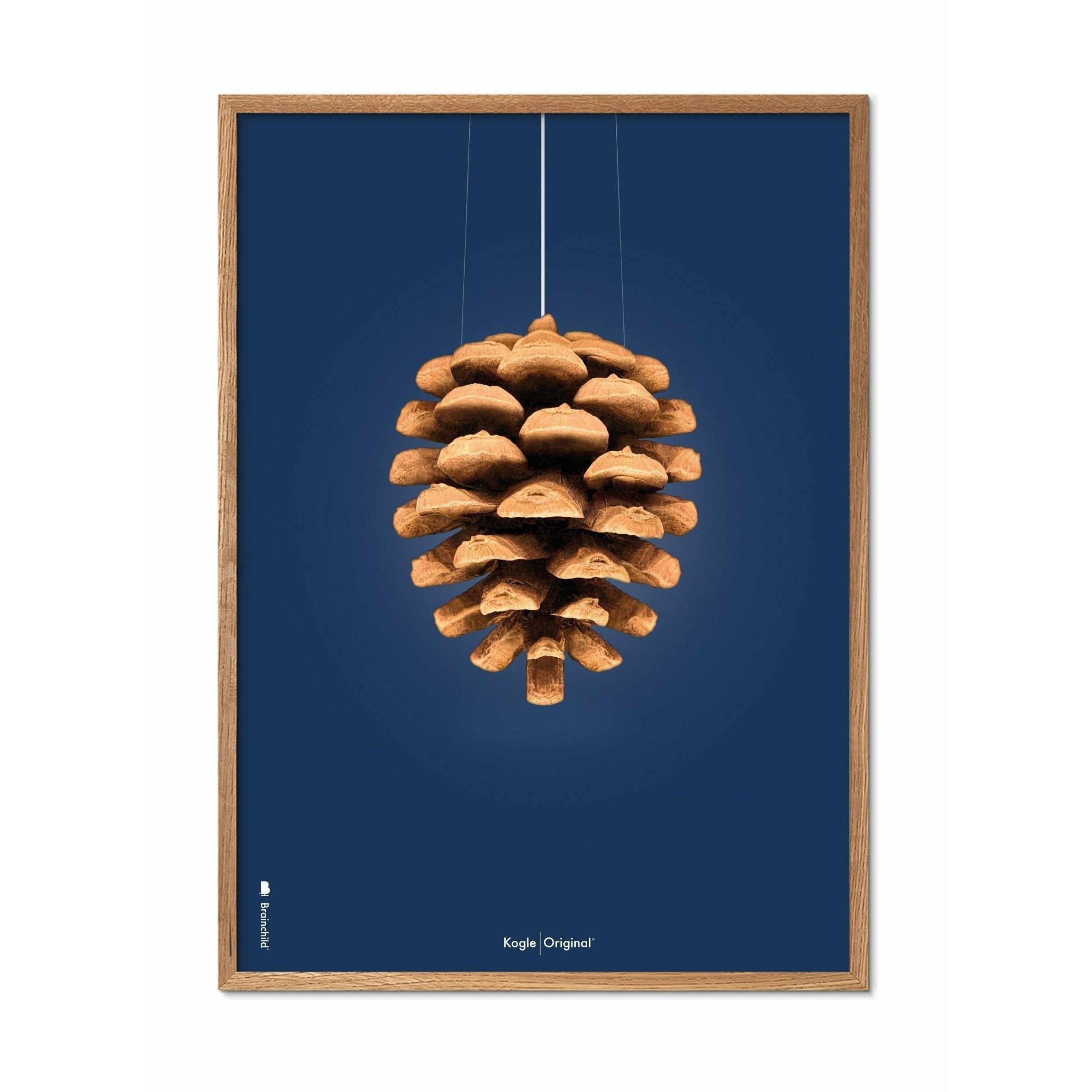 Klasický plakát mozkového kužele, rám vyrobený z lehkého dřeva 30x40 cm, tmavě modré pozadí