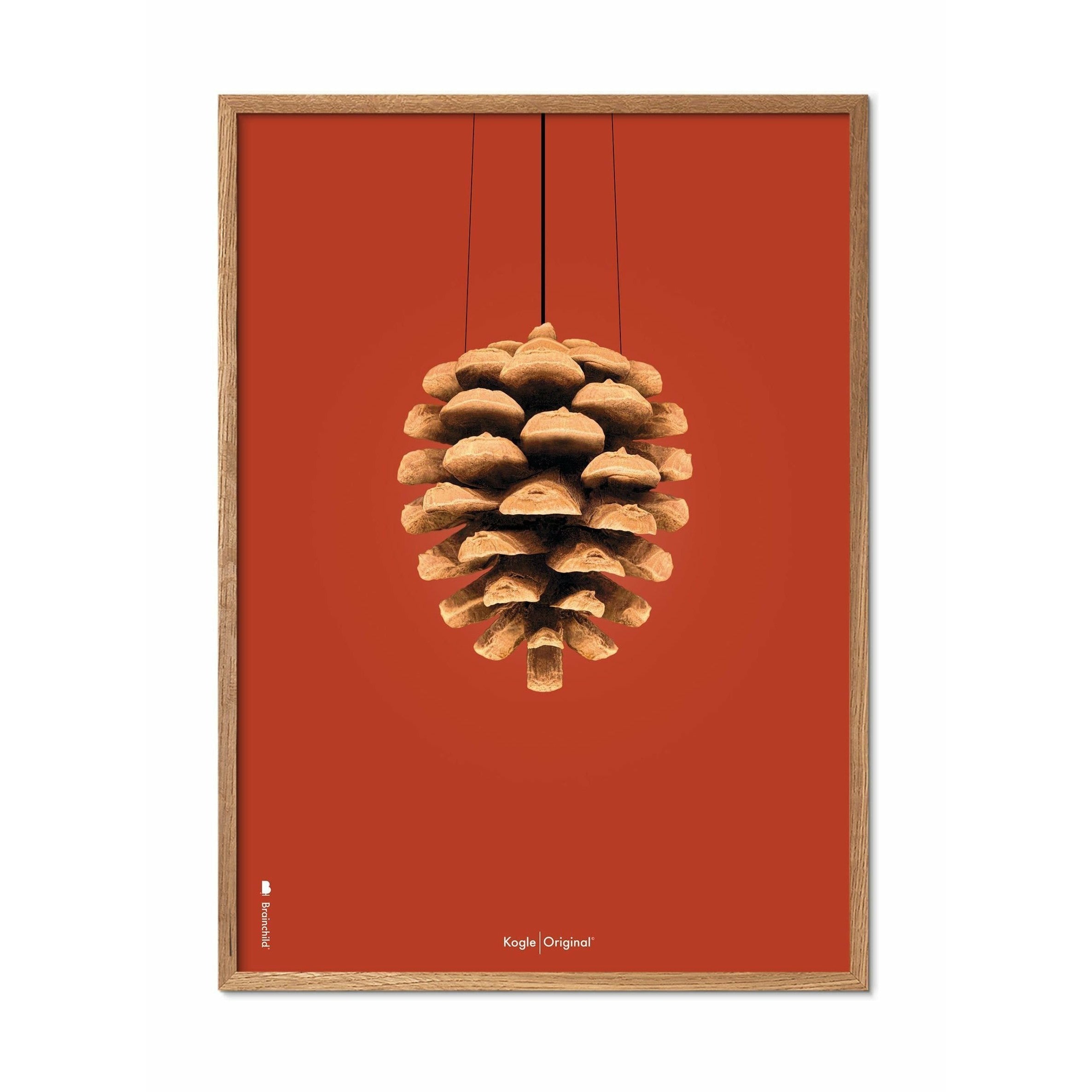 Klasický plakát mozkového kužele, rám vyrobený z lehkého dřeva 30x40 cm, červené pozadí