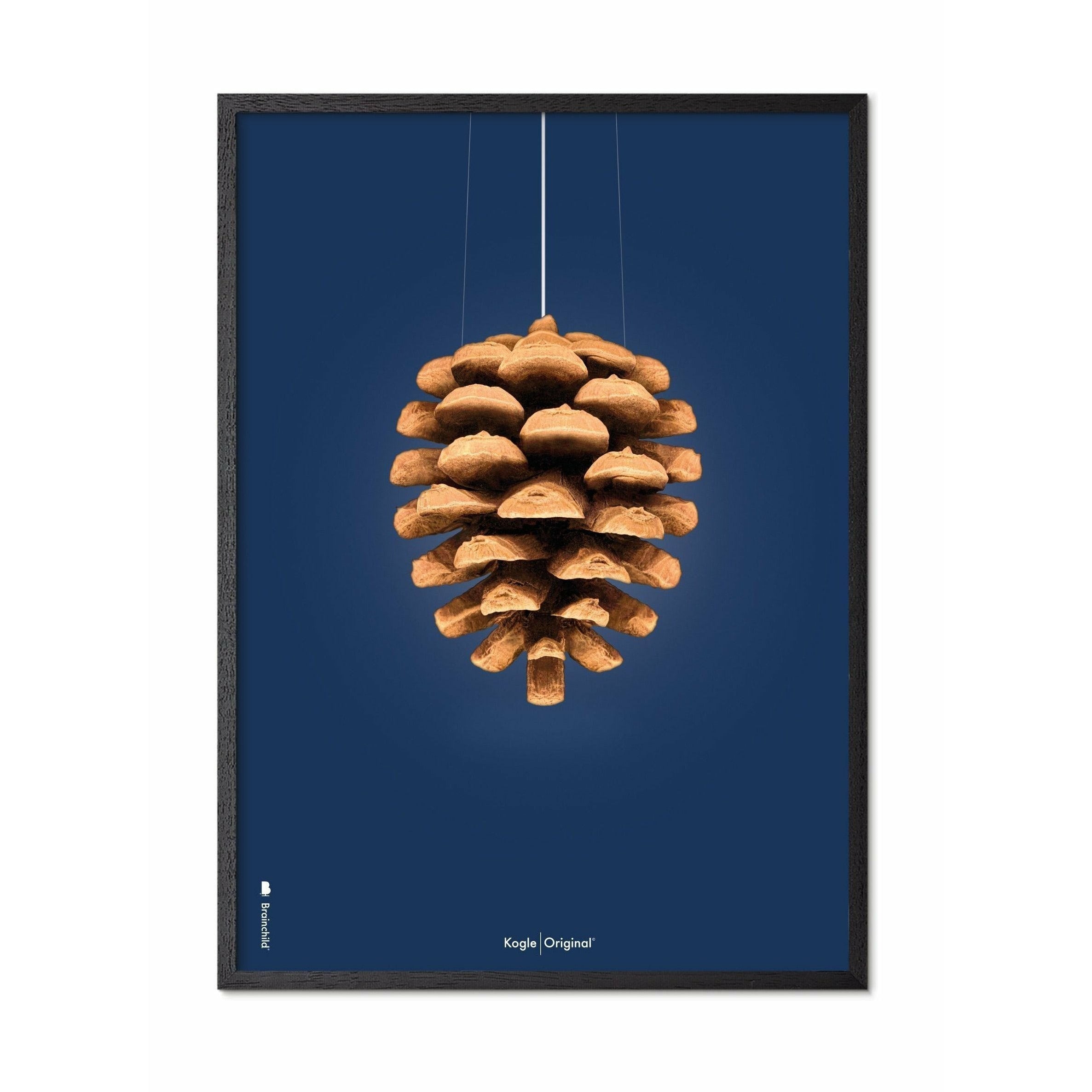 Klasický plakát mozkového kužele, rám v černém lakovaném dřevu 50x70 cm, tmavě modré pozadí