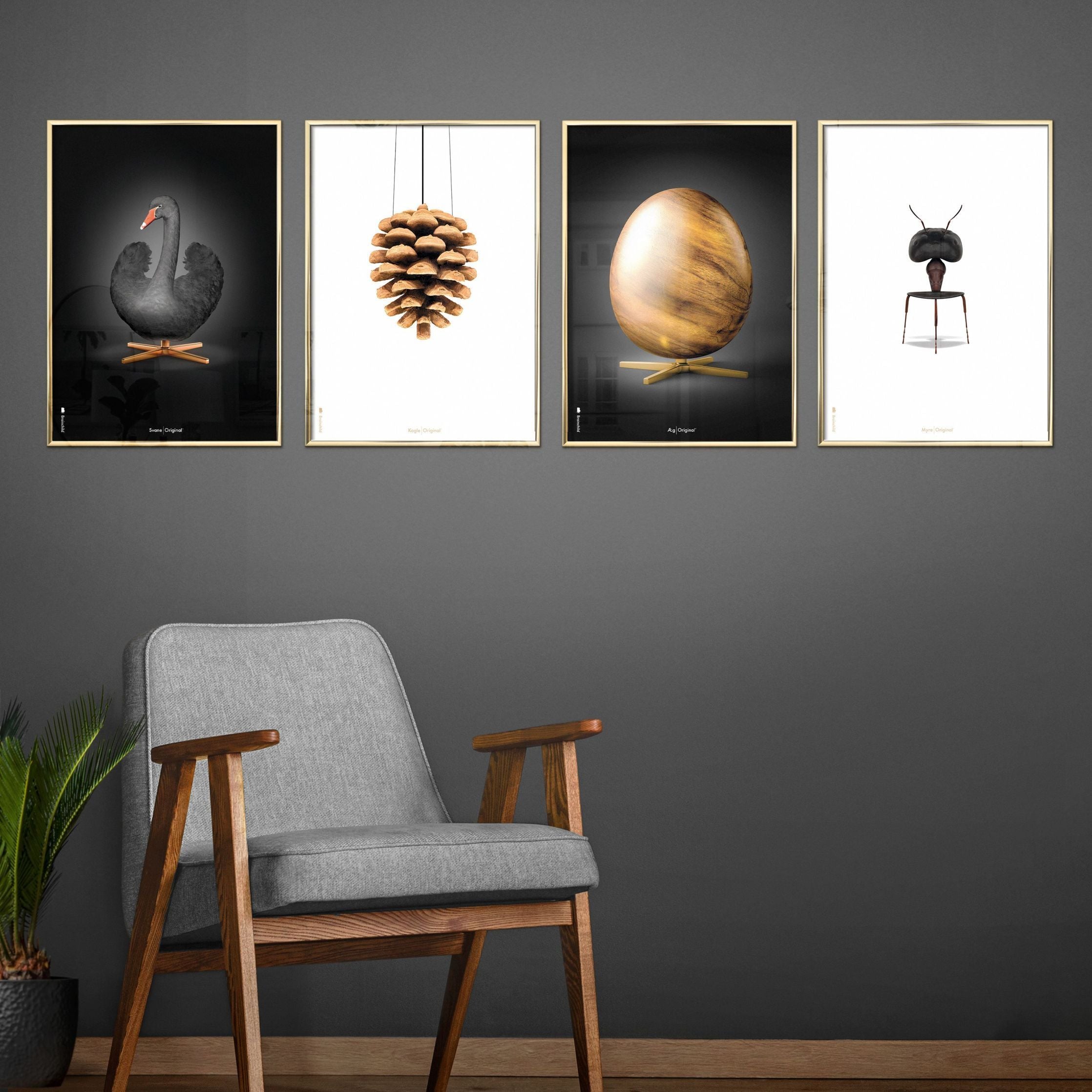 Klasický plakát mozkového kužele, rám v černém lakovaném dřevěném dřevu A5, bílé pozadí