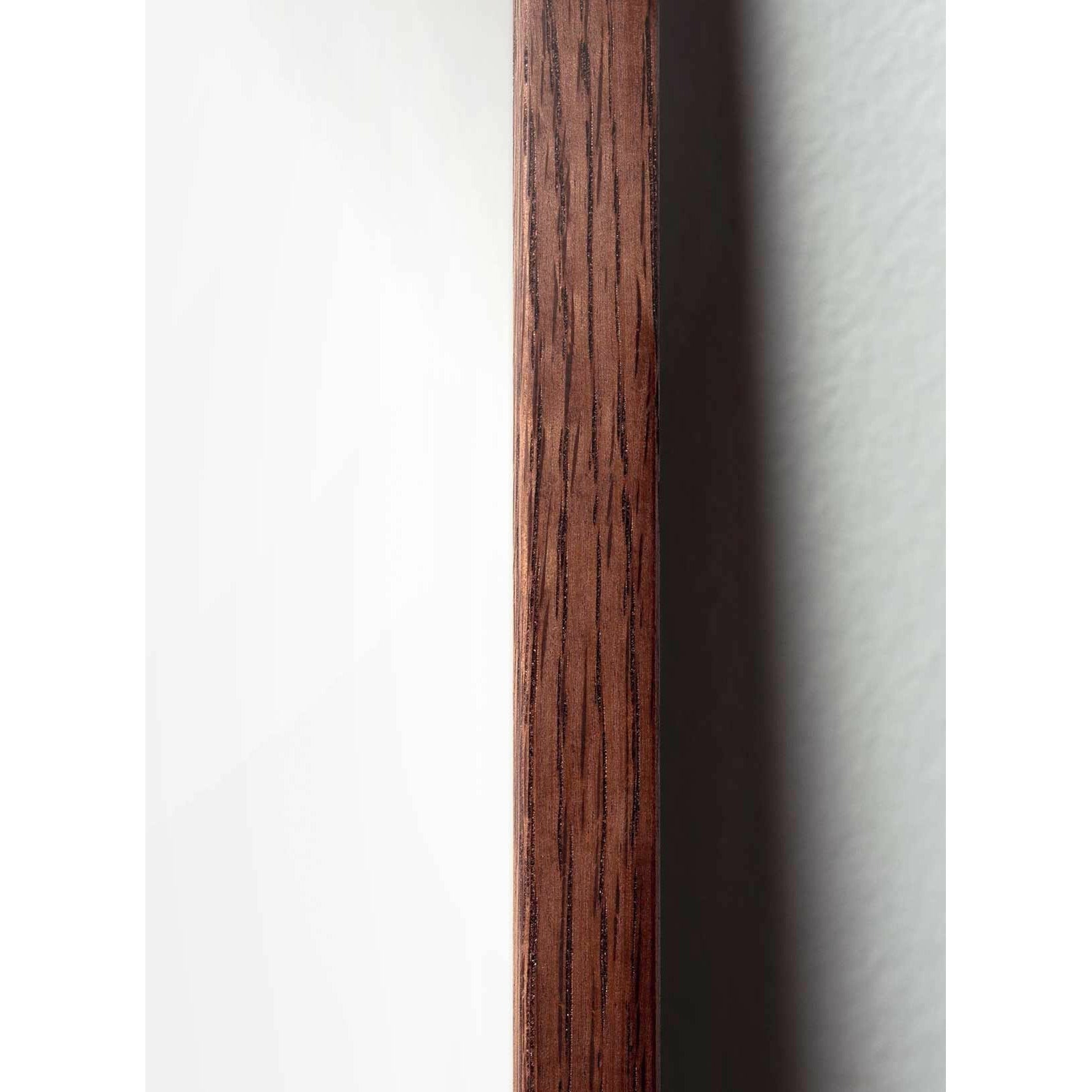 Plakát Pine Cone Line Pine Cone, rám vyrobený z tmavého dřeva 30x40 cm, bílé pozadí