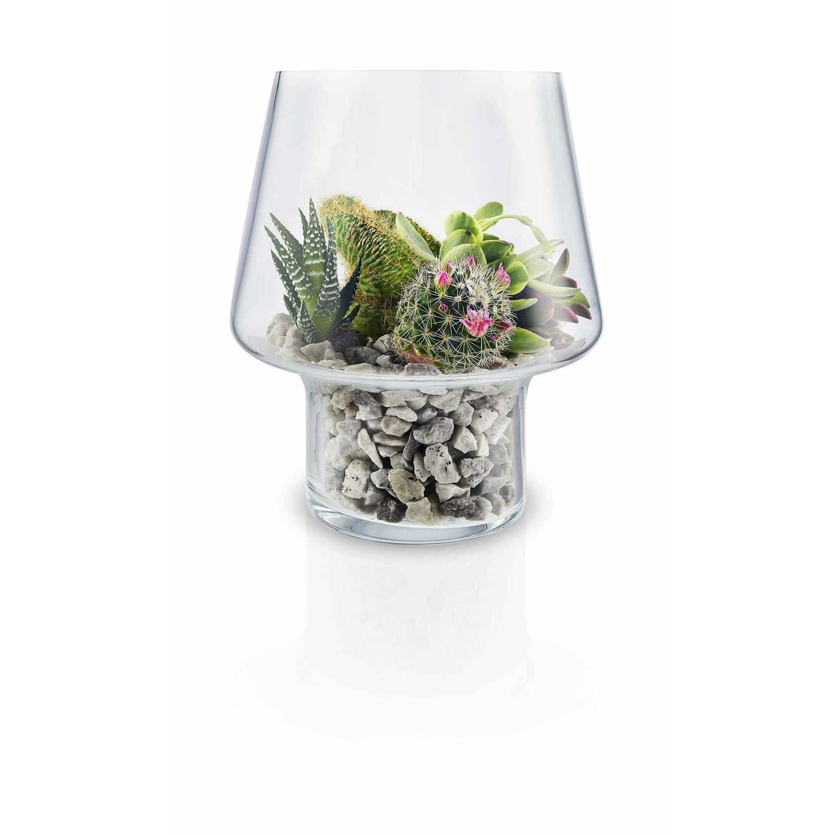 Eva sólo sukulentní skleněná váza, Ø15 cm
