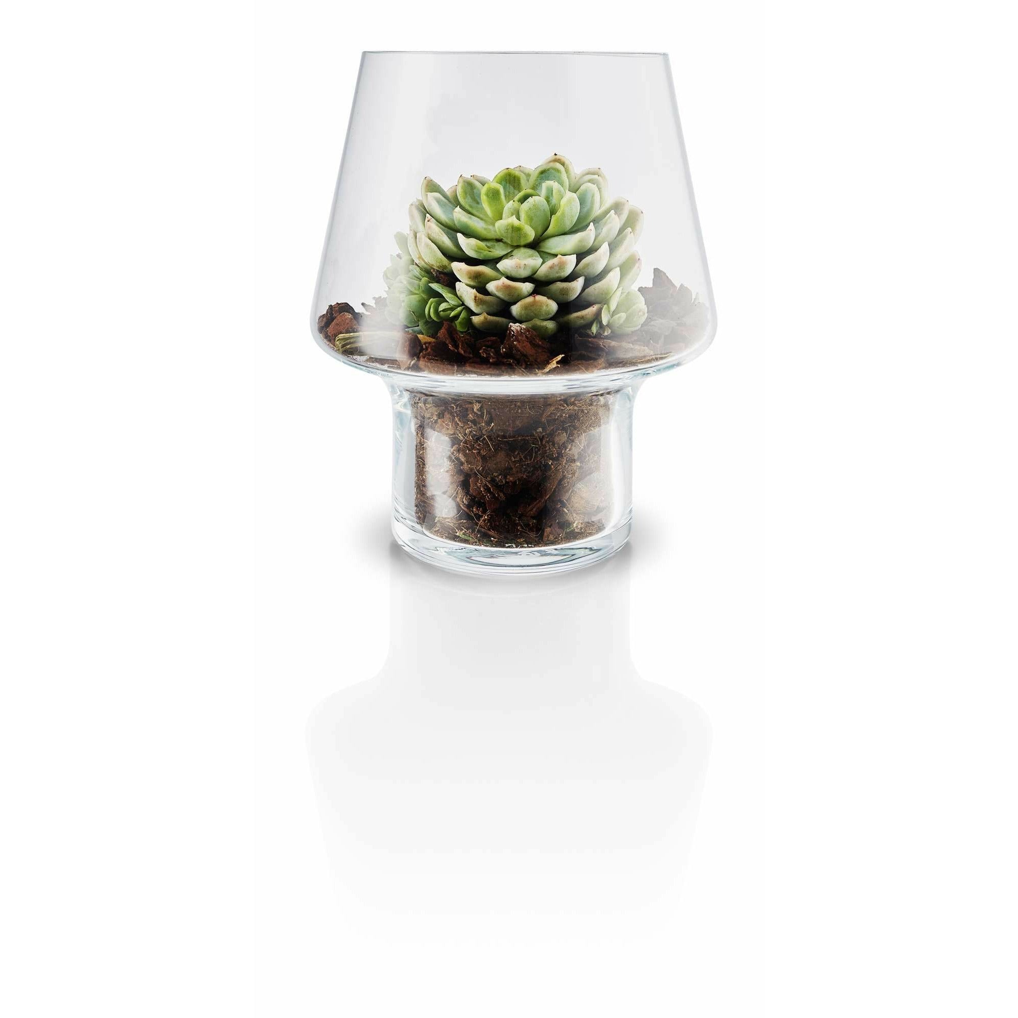 Eva sólo sukulentní skleněná váza, Ø15 cm