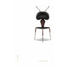 Brainchild Ant Classic plakát bez rámu 50 x70 cm, bílé pozadí