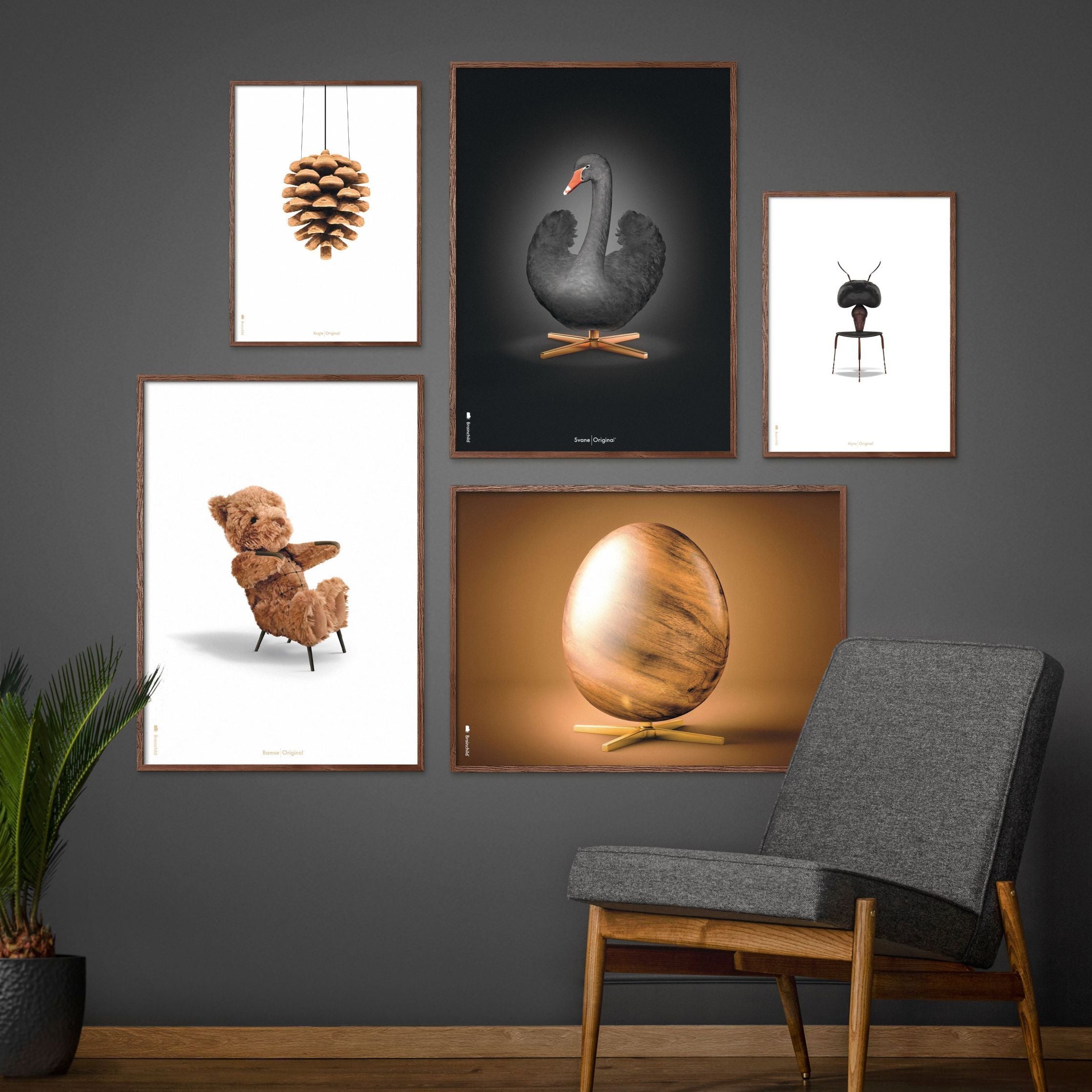Brainchild Ant Classic Poster, Frame In Black Lacquered Wood A5, White Background