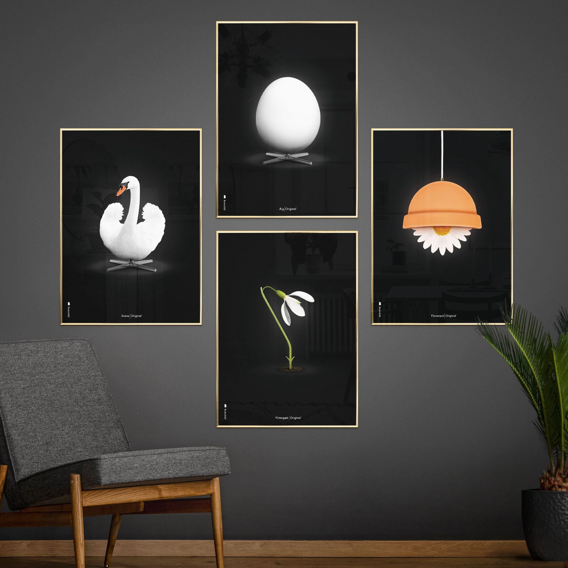 Klasický plakát Brainchild Flowerpot, mosazný rám 50x70 cm, černé pozadí
