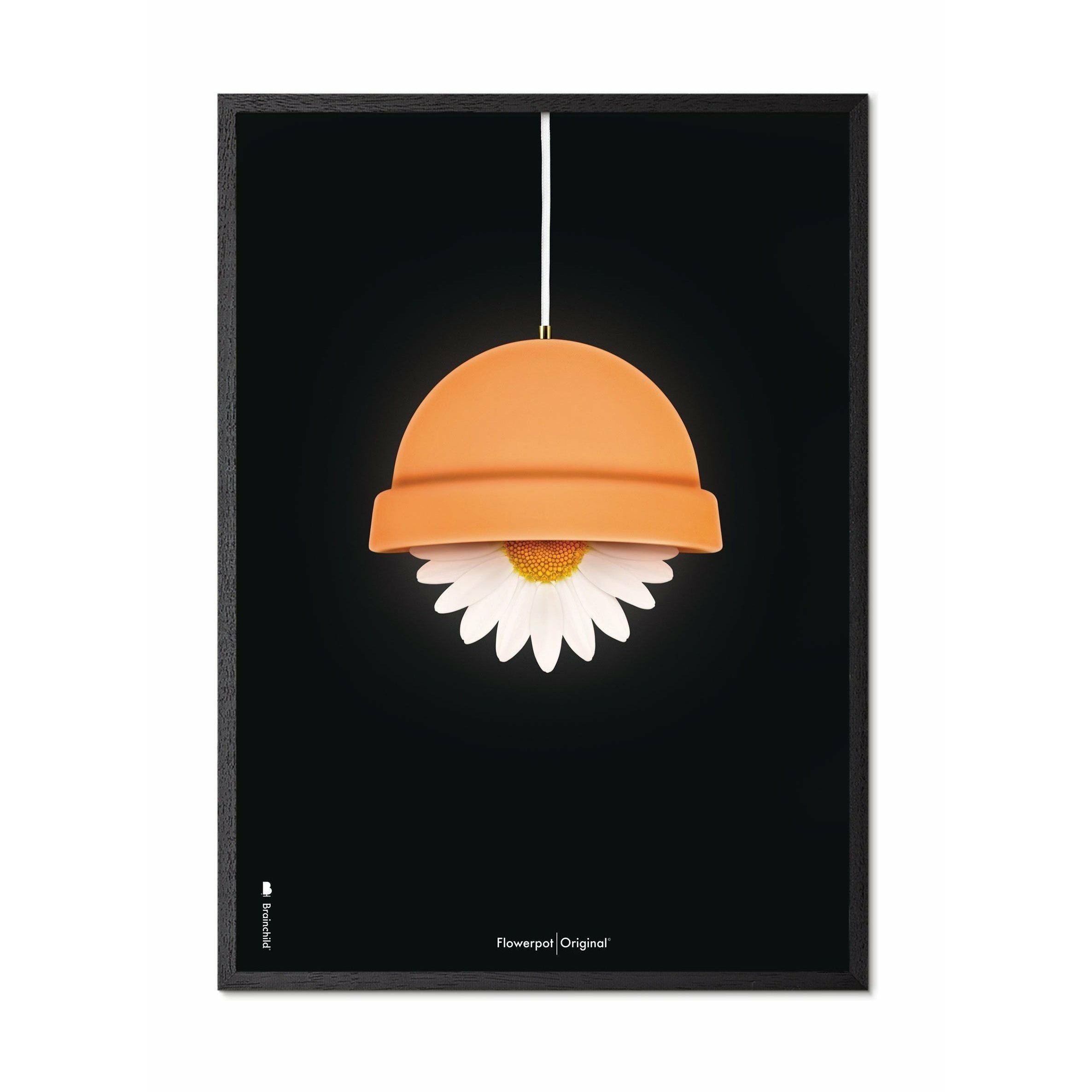Klasický plakát Brainchild Flowerpot, rám v černém lakovaném dřevu 30x40 cm, černé pozadí