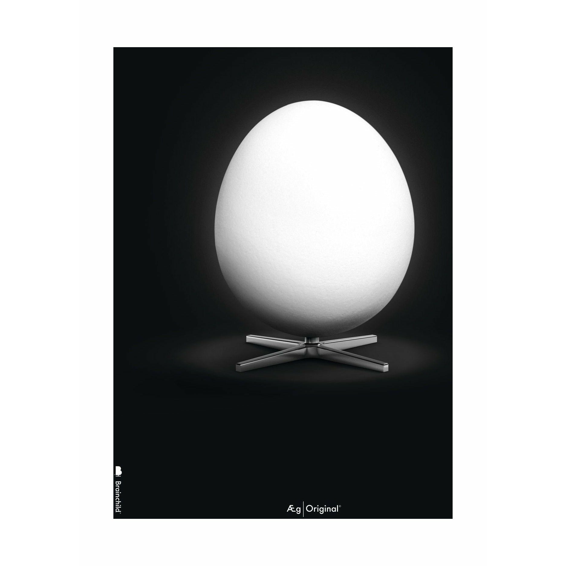 Klasický plakát s vaječným mozkem bez rámu 50 x70 cm, černé pozadí