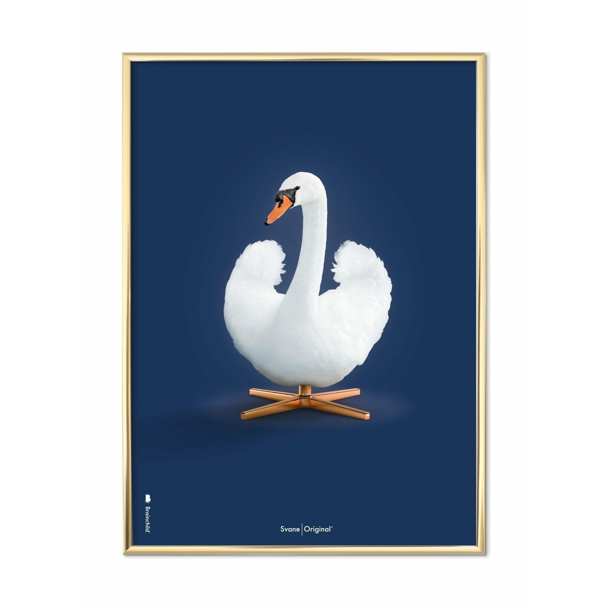 Klasický plakát s labuťovým plakátem, mosazný rám 50x70 cm, tmavě modré pozadí