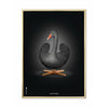 Klasický plakát s labuťovým plakátem, mosazný rám 70 x100 cm, černé/černé pozadí