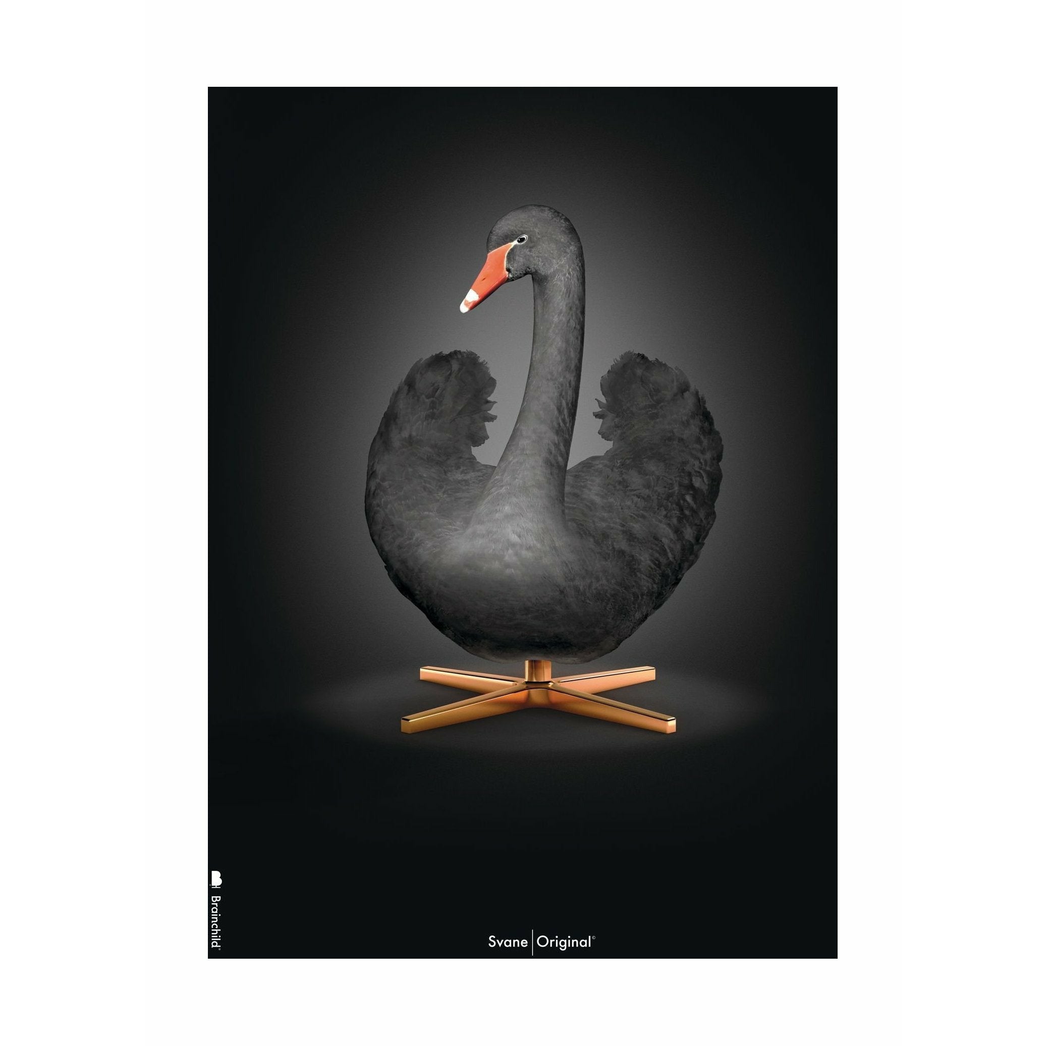 Brainchild Swan Classic plakát bez rámu 30 x40 cm, černé/černé pozadí