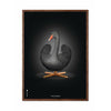 Klasický plakát s labutí mozek, rám vyrobený z tmavého dřeva 30x40 cm, černé/černé pozadí