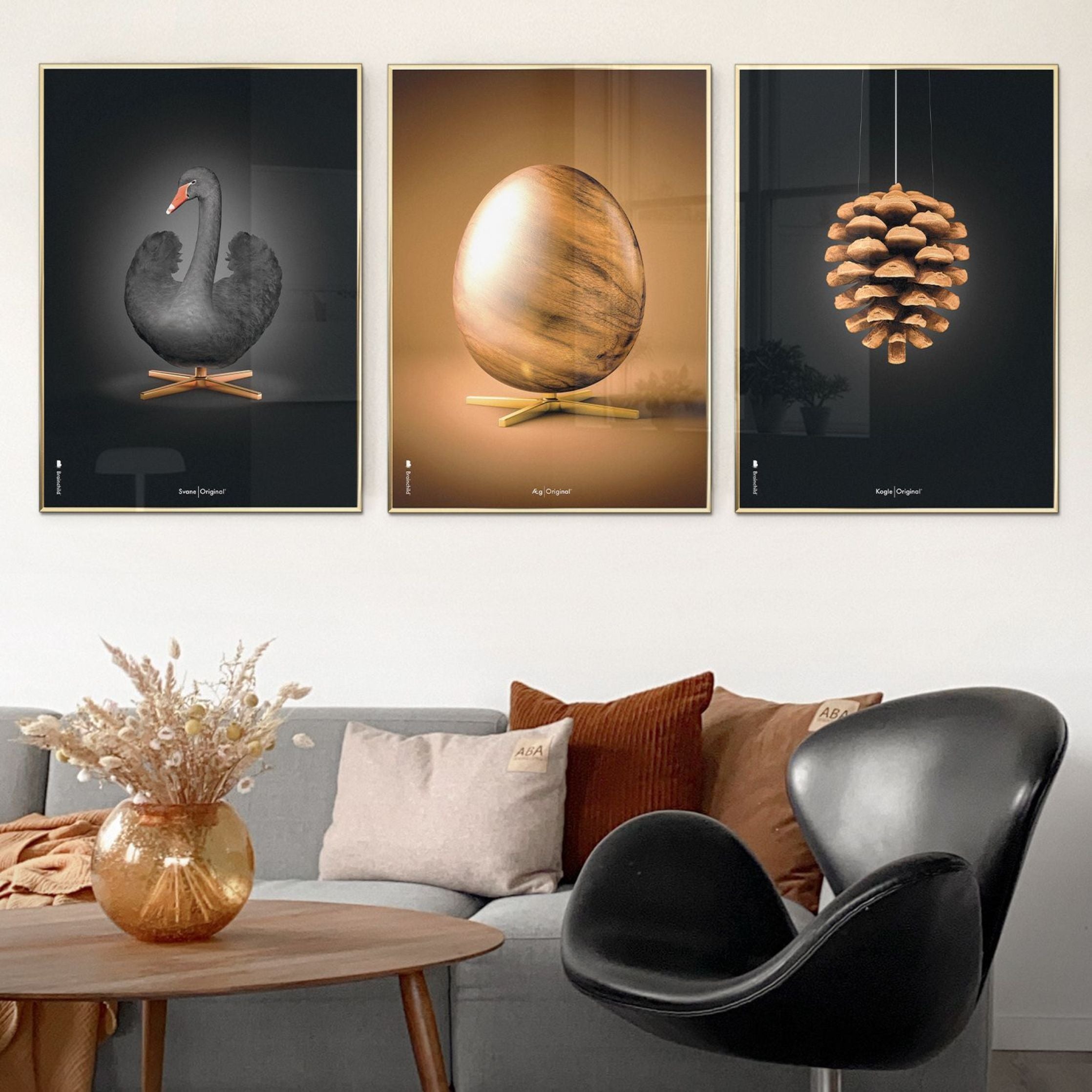 Klasický plakát s labutí mozek, rám vyrobený z tmavého dřeva 50x70 cm, černé/černé pozadí
