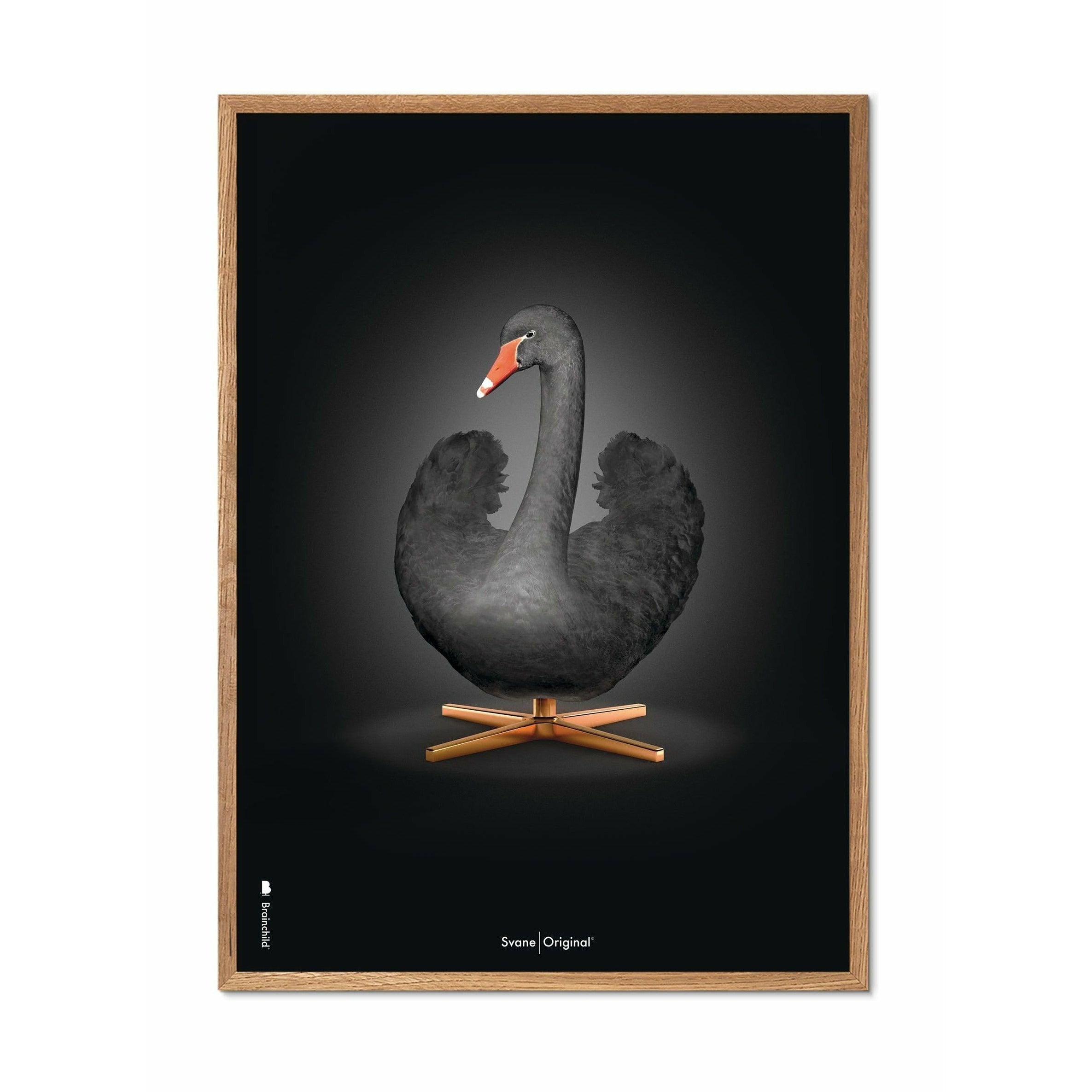Klasický plakát s labuťovým plakátem, rám vyrobený z lehkého dřeva 30x40 cm, černé/černé pozadí