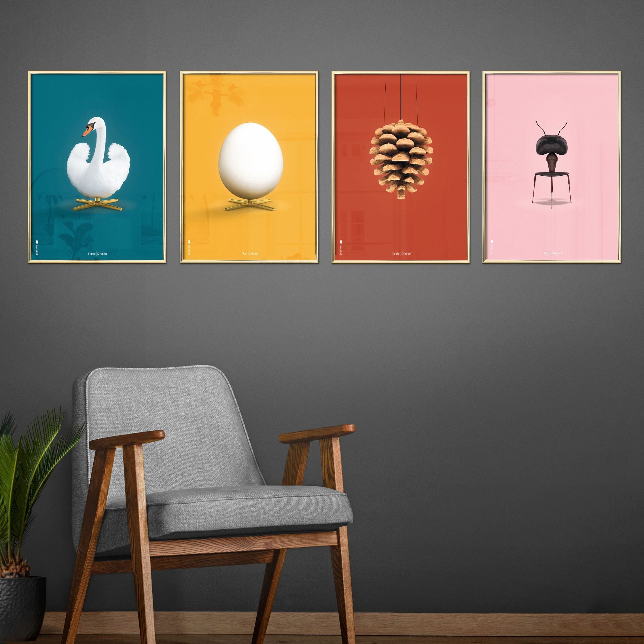 Klasický plakát s labutí mozek, lehký dřevěný rám 70 x100 cm, ropné modré pozadí
