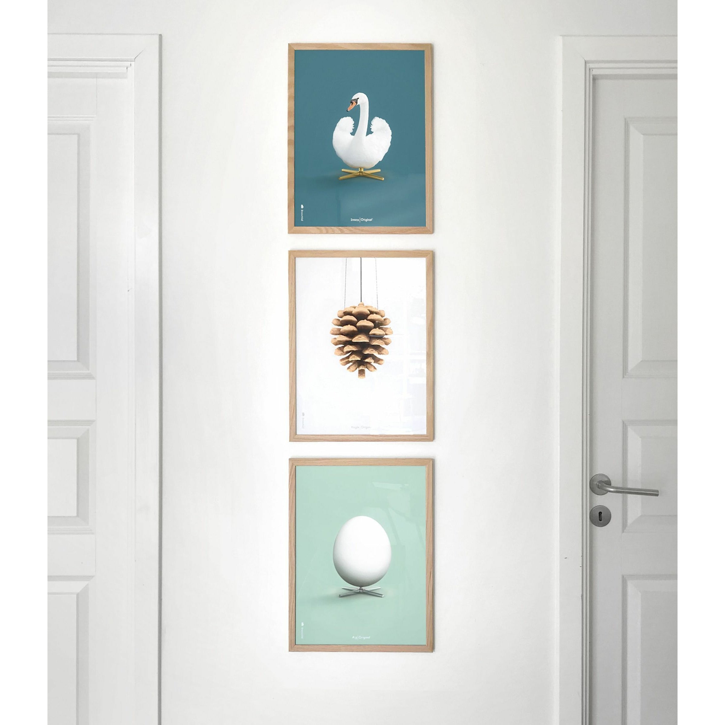 Klasický plakát s labutí mozek, lehký dřevěný rám 70 x100 cm, ropné modré pozadí