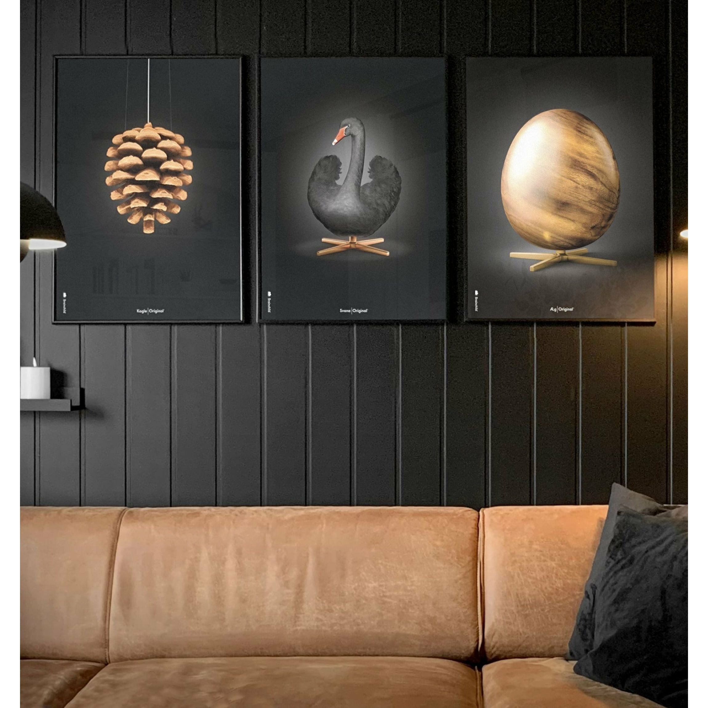 Klasický plakát s labuťovým plakátem, rám v černém lakovaném dřevu 30x40 cm, černé/černé pozadí