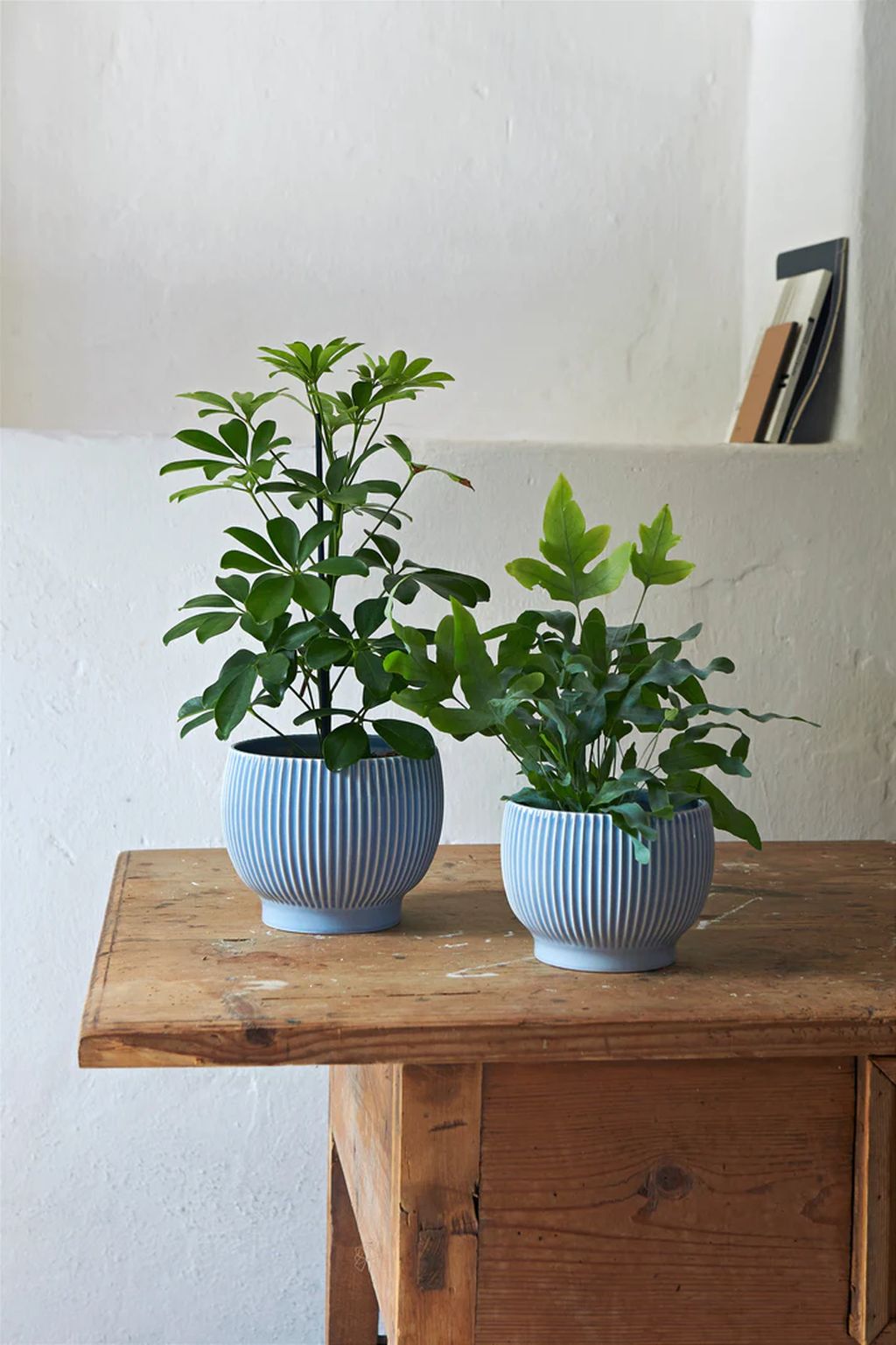 Knabstrup Keramik Flowerpot s koly Ø 14,5 cm, levandule modrá