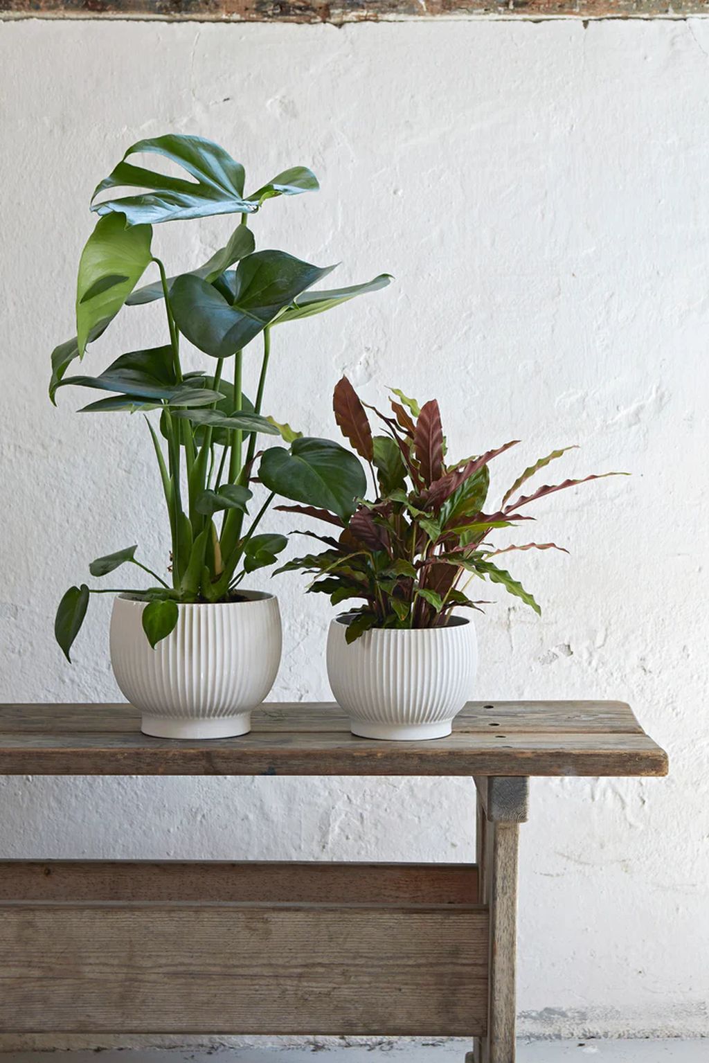 Knabstrup Keramik Flowerpot s koly Ø 16,5 cm, bílá