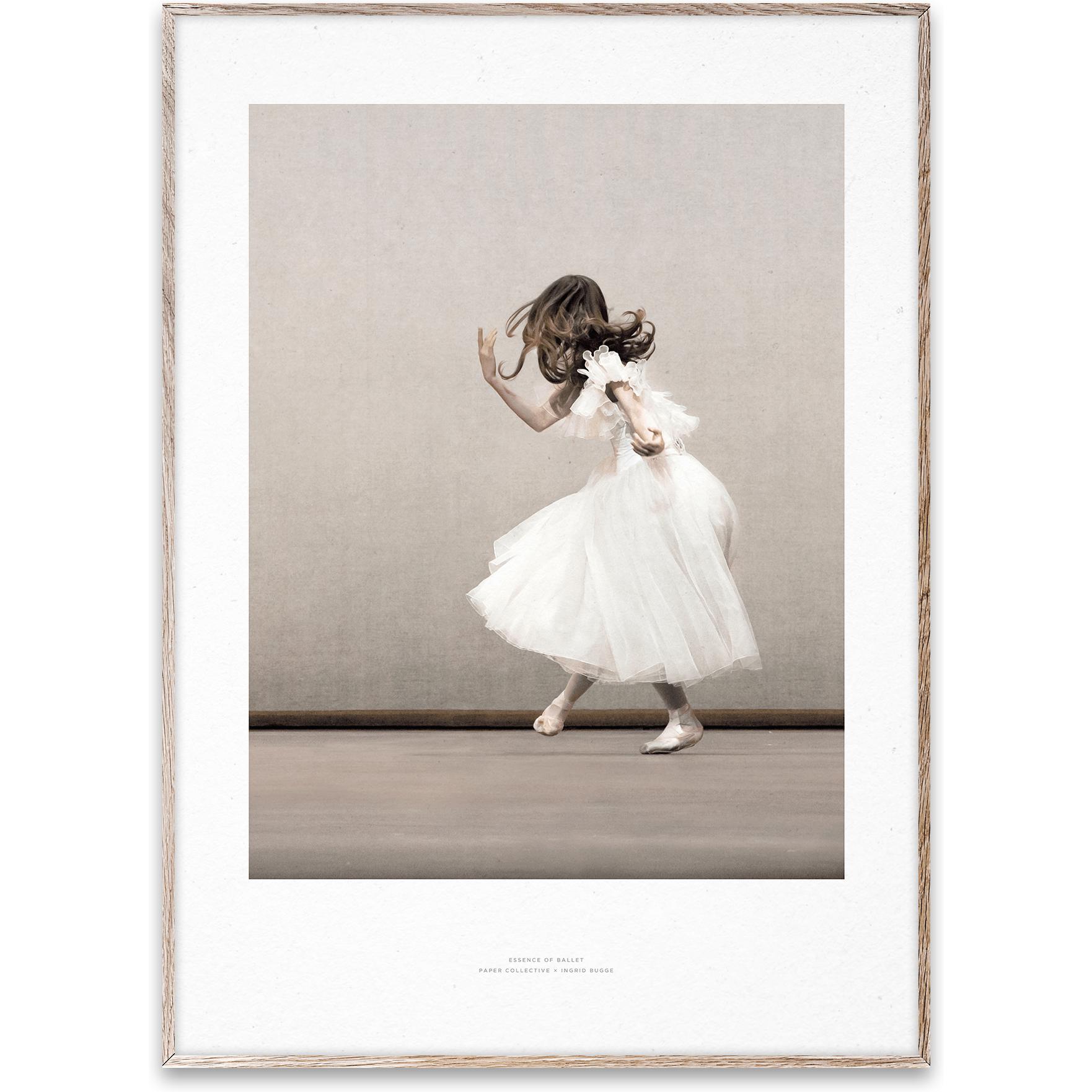 Papírová kolektivní podstata baletu 02 plakátu, 30x40 cm