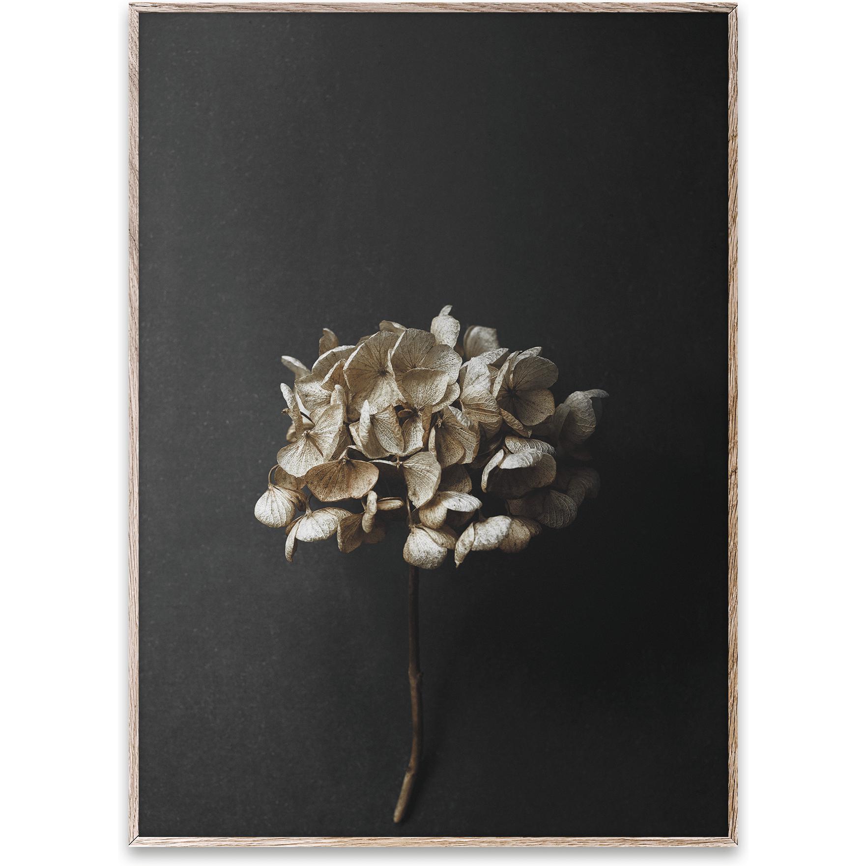 Paper Collective Still Life 04 Poster, 50x70 Cm