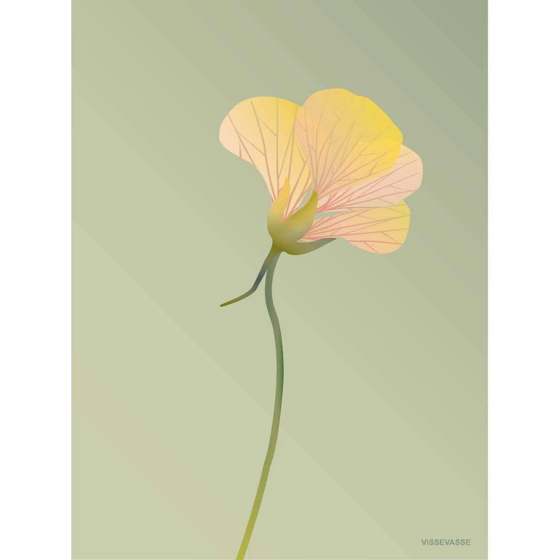 Vissevasse Nasturtium plakát 50 x70 cm, zelená