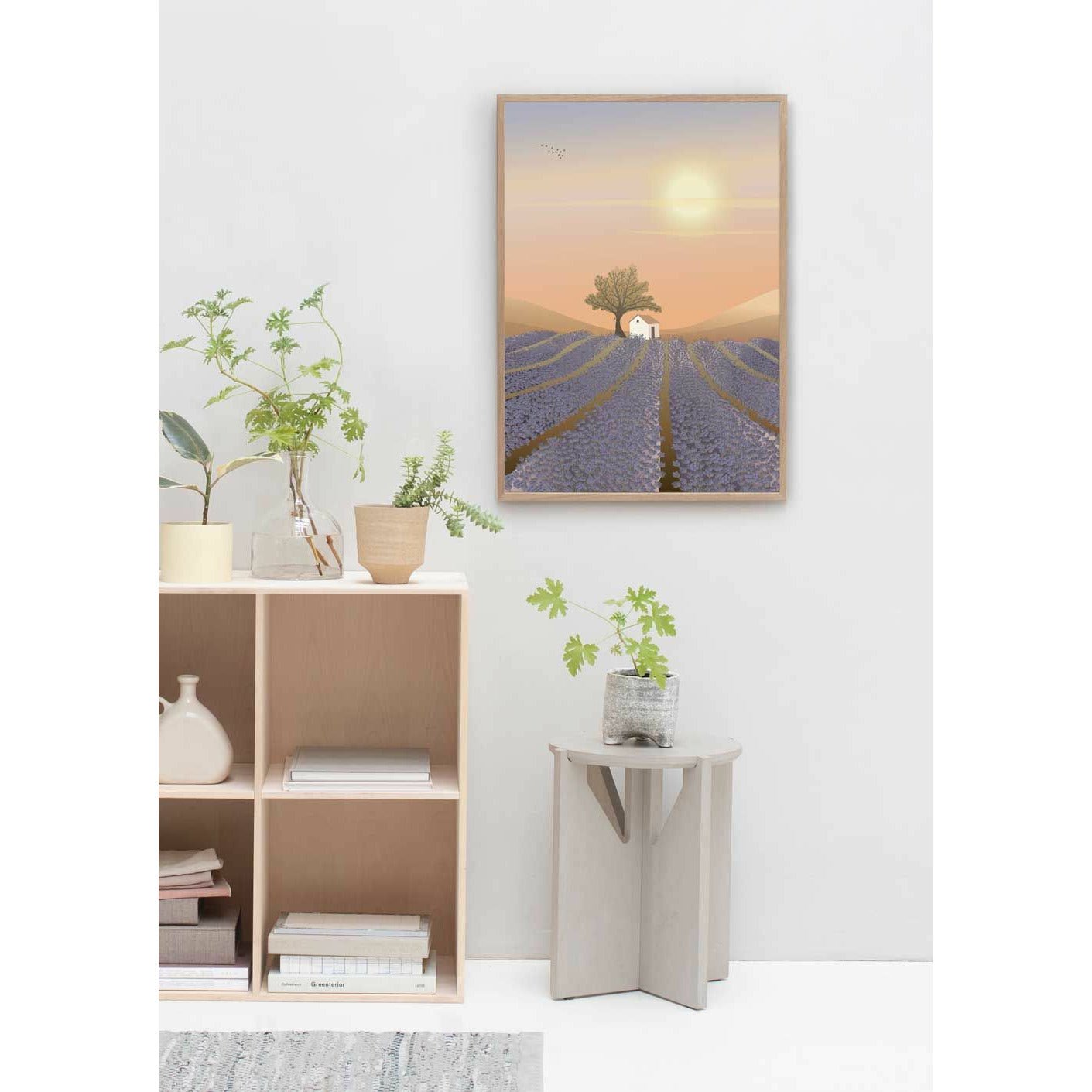 Vissevasse levandulové polní plakát, 50x70 cm