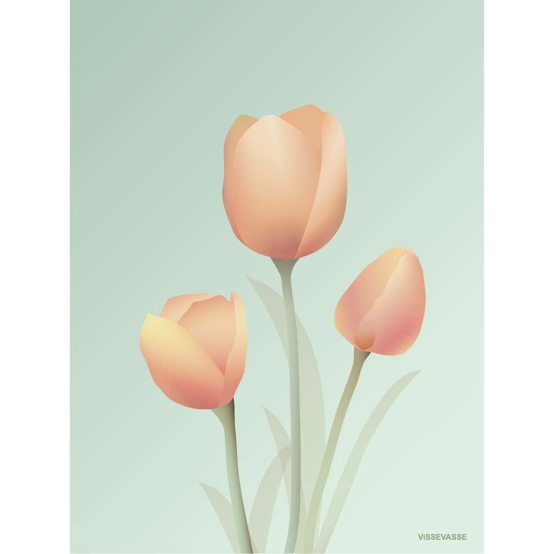 Vissevasse Tulip plakát 30 x40 cm, máta